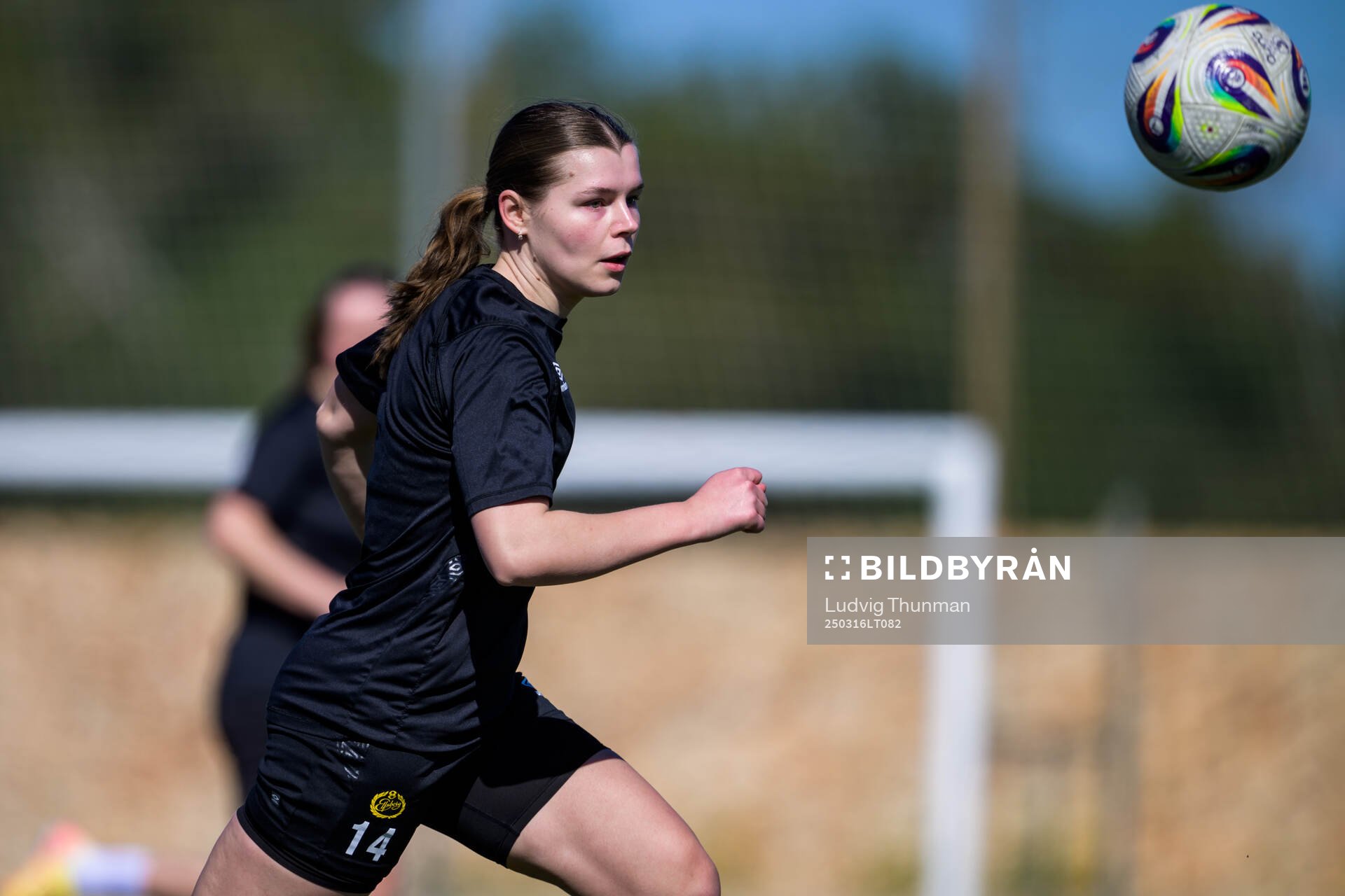 Elin Flakberg