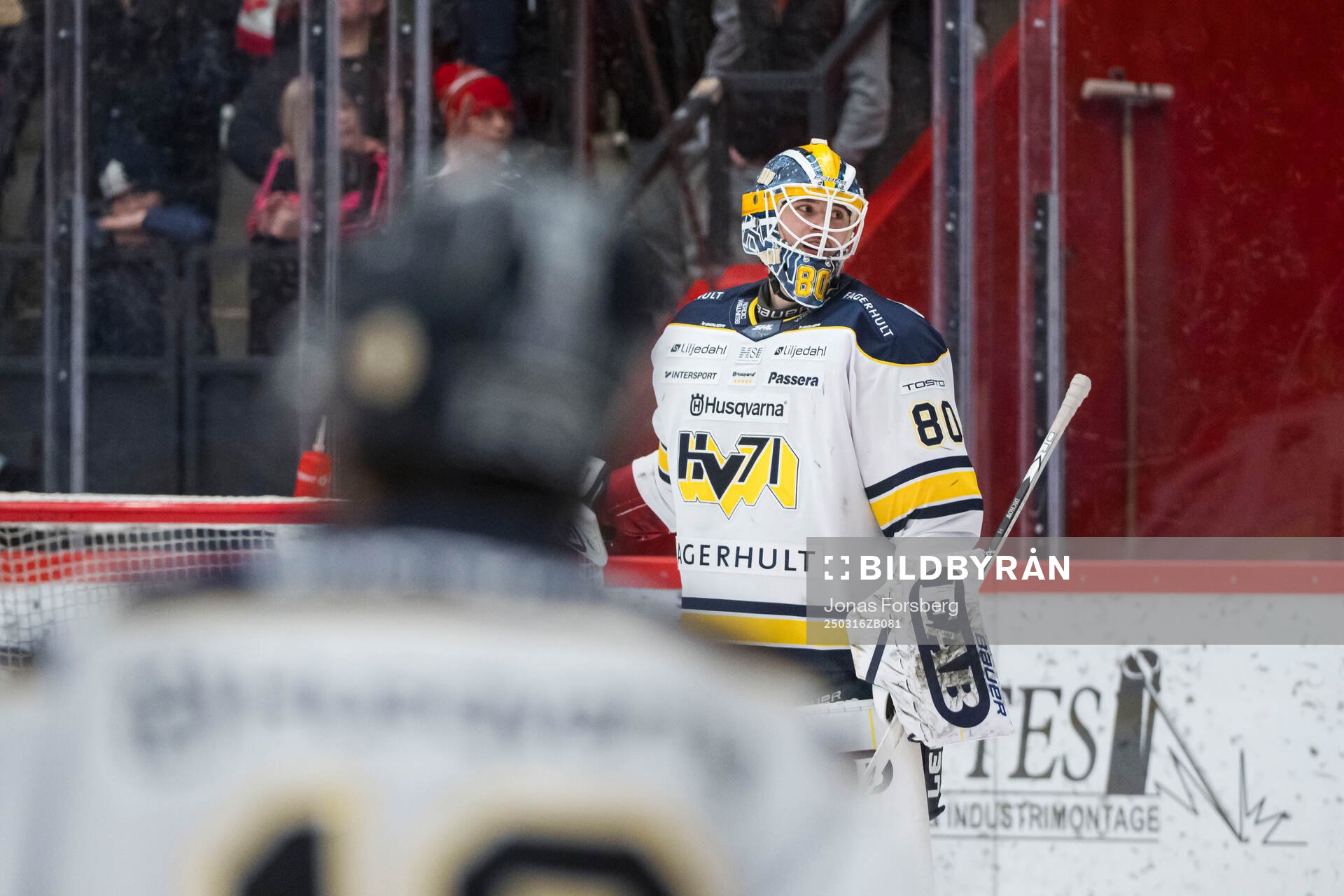 HV71s målvakt Frederik Dichow