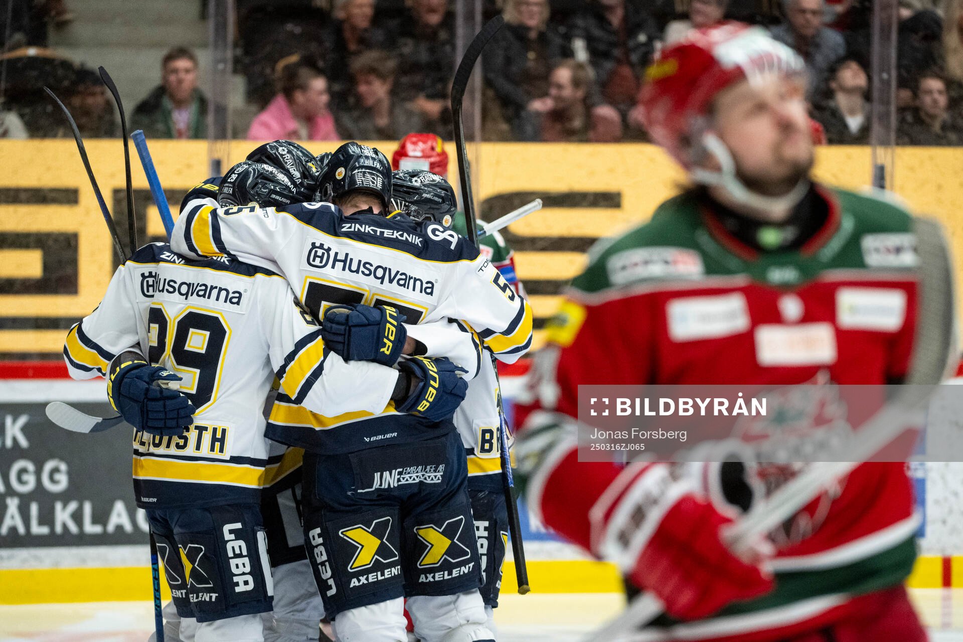 HV71s Oskar Stål-Lyrenäs jublar