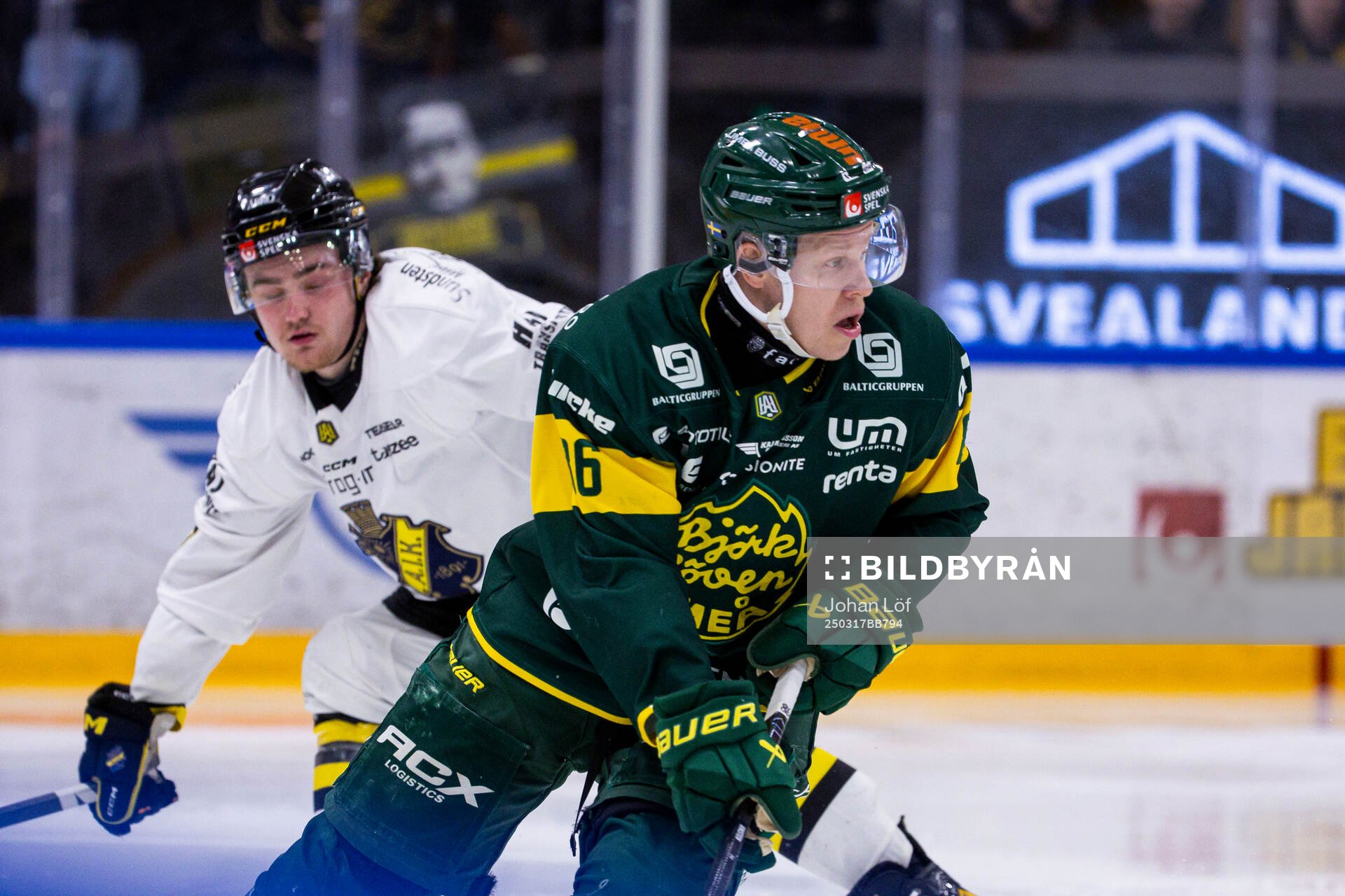 Björklövens Daniel Viksten