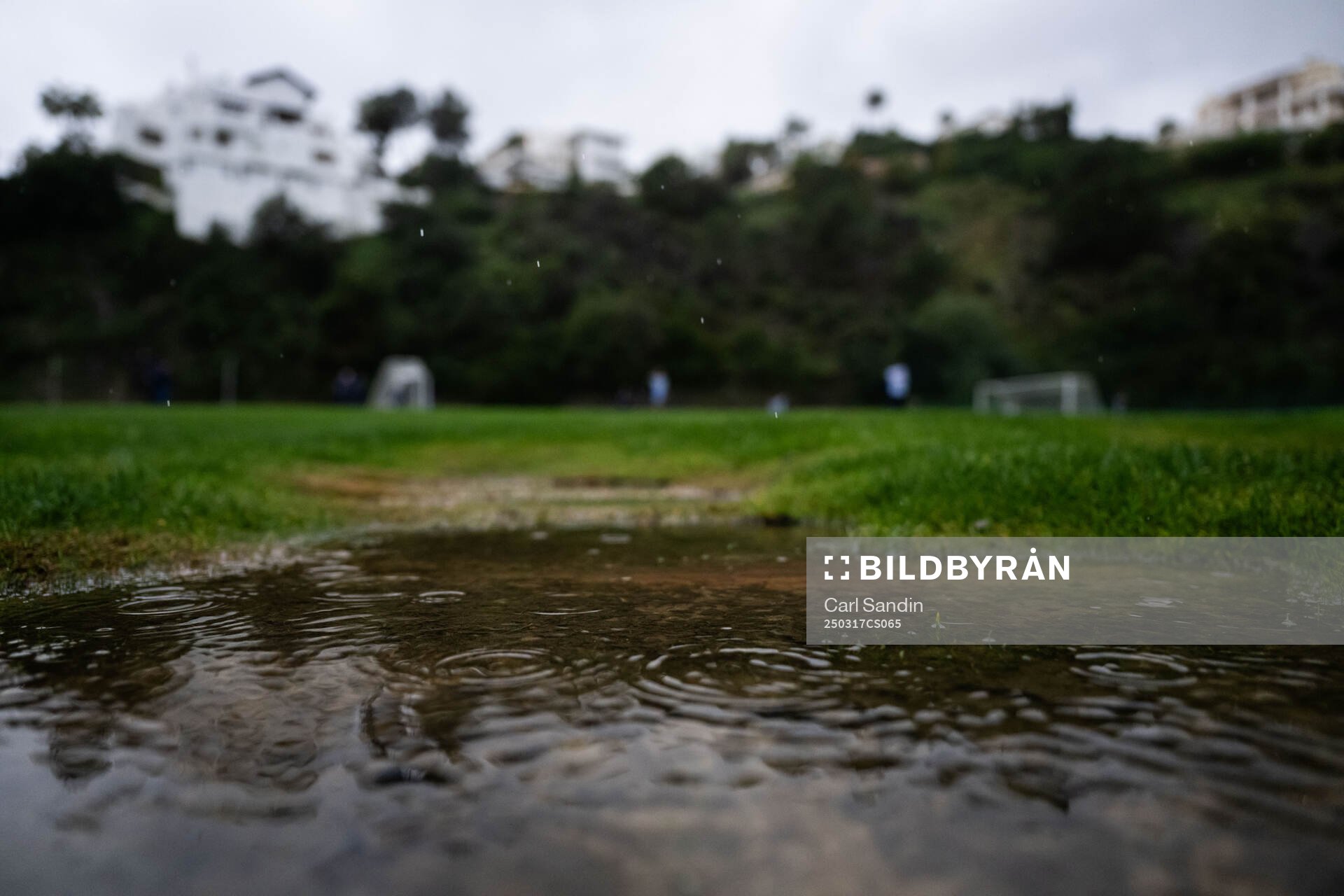 Rain