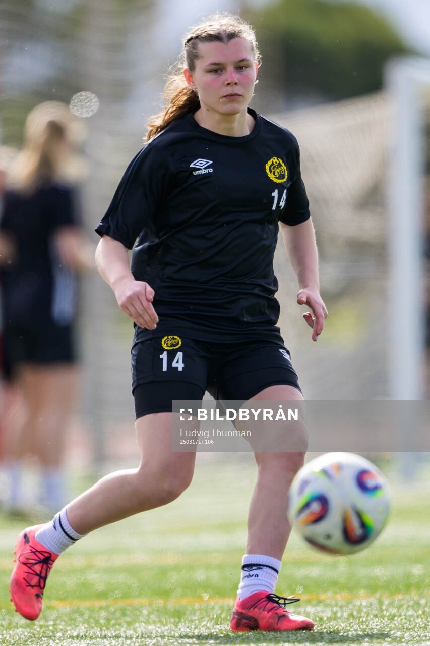 Elin Flakberg