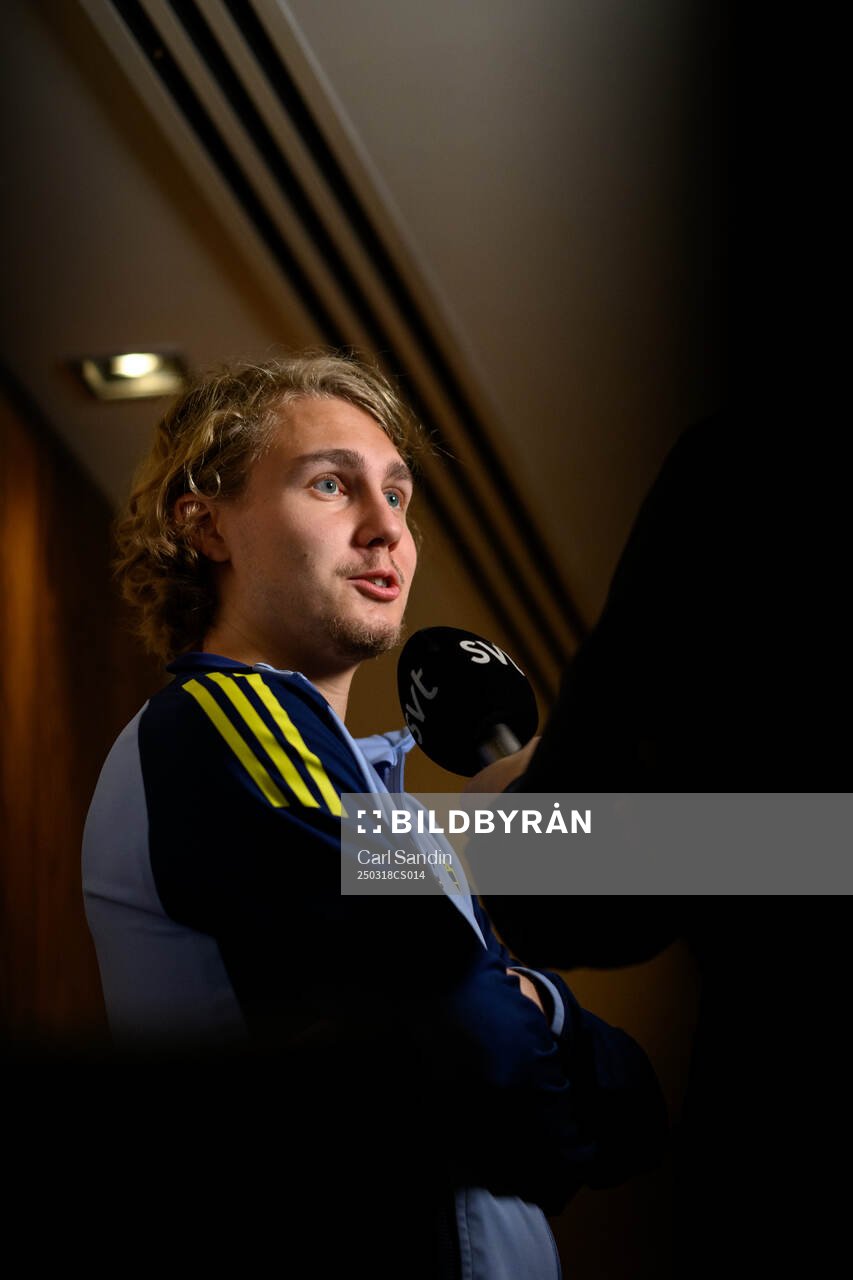 Sebastian Nanasi of the Swedish men's national football