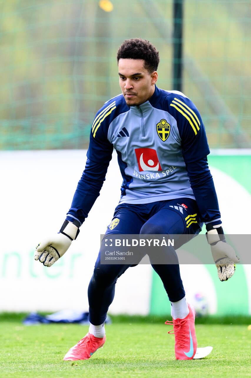 Goalkeeper Oliver Dovin of the Swedish men's national