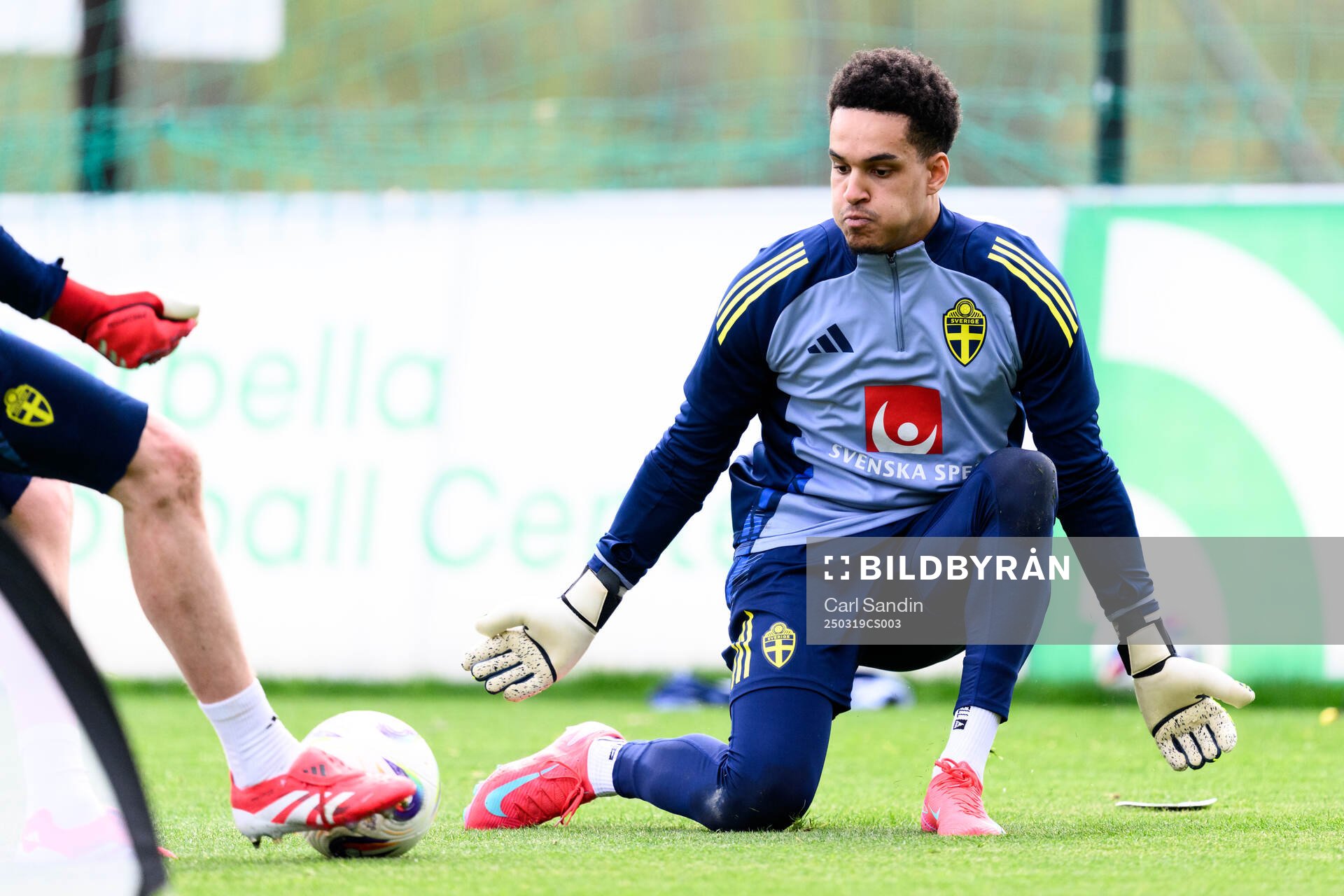 Goalkeeper Oliver Dovin of the Swedish men's national
