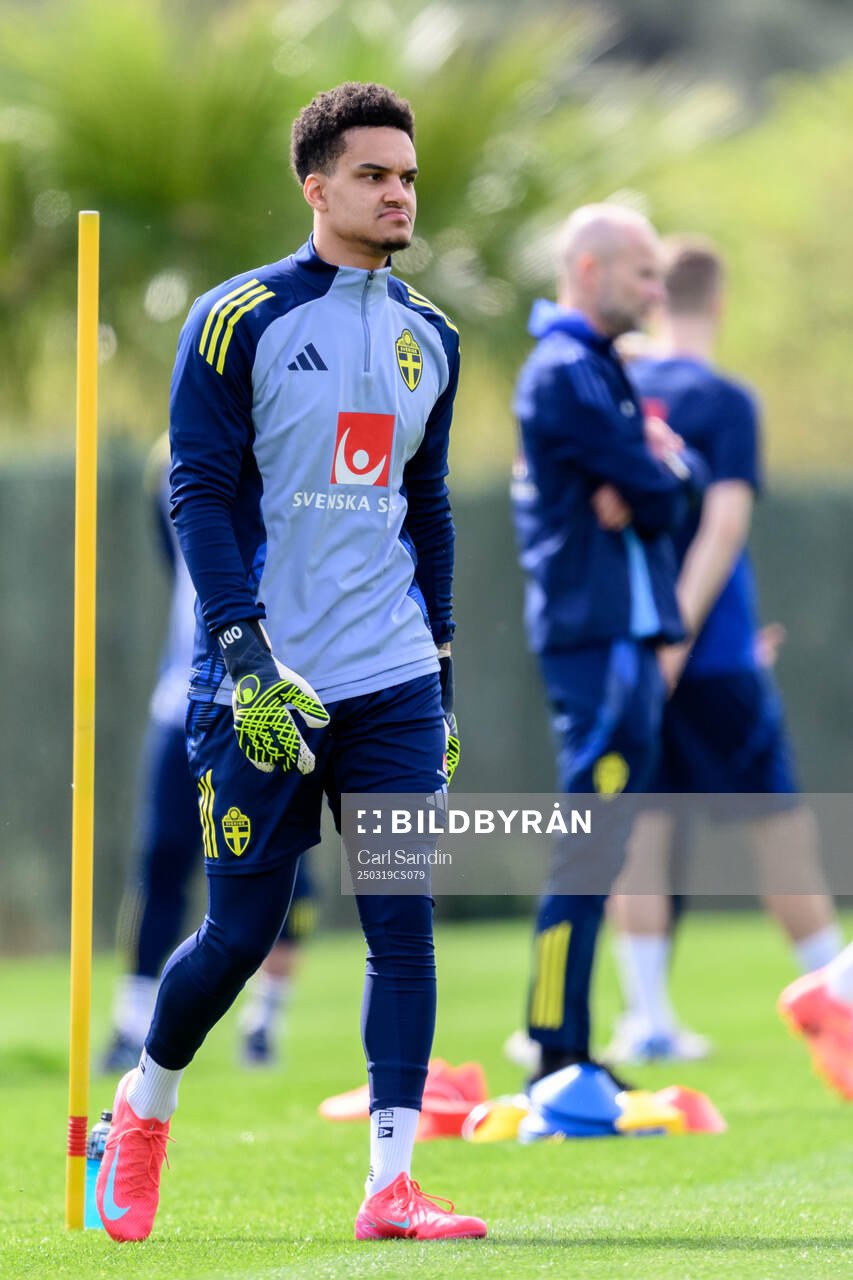 Goalkeeper Oliver Dovin of the Swedish men's national