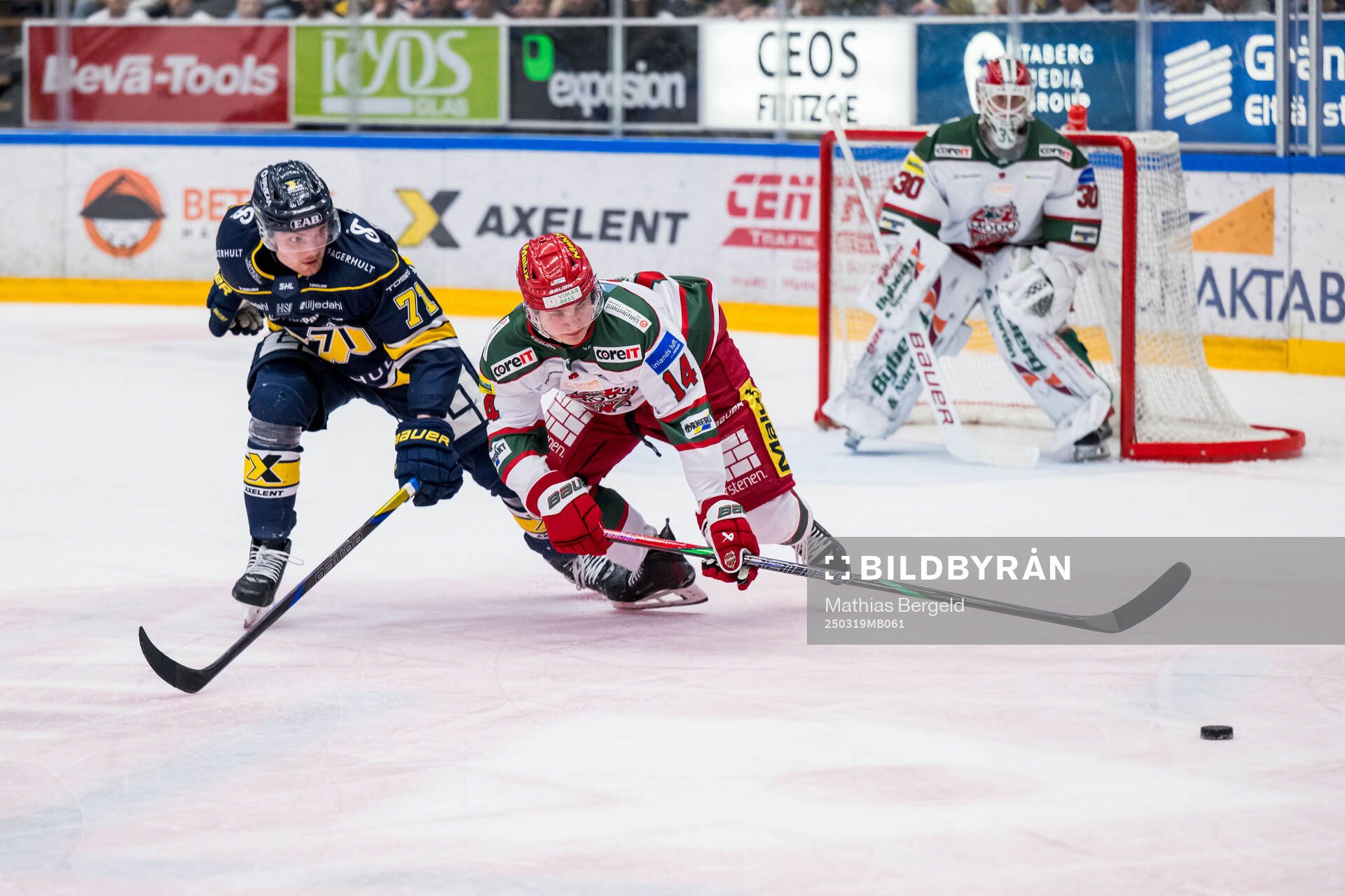 HV71s William Ignberg Nilsson och Modos Jakob Noren