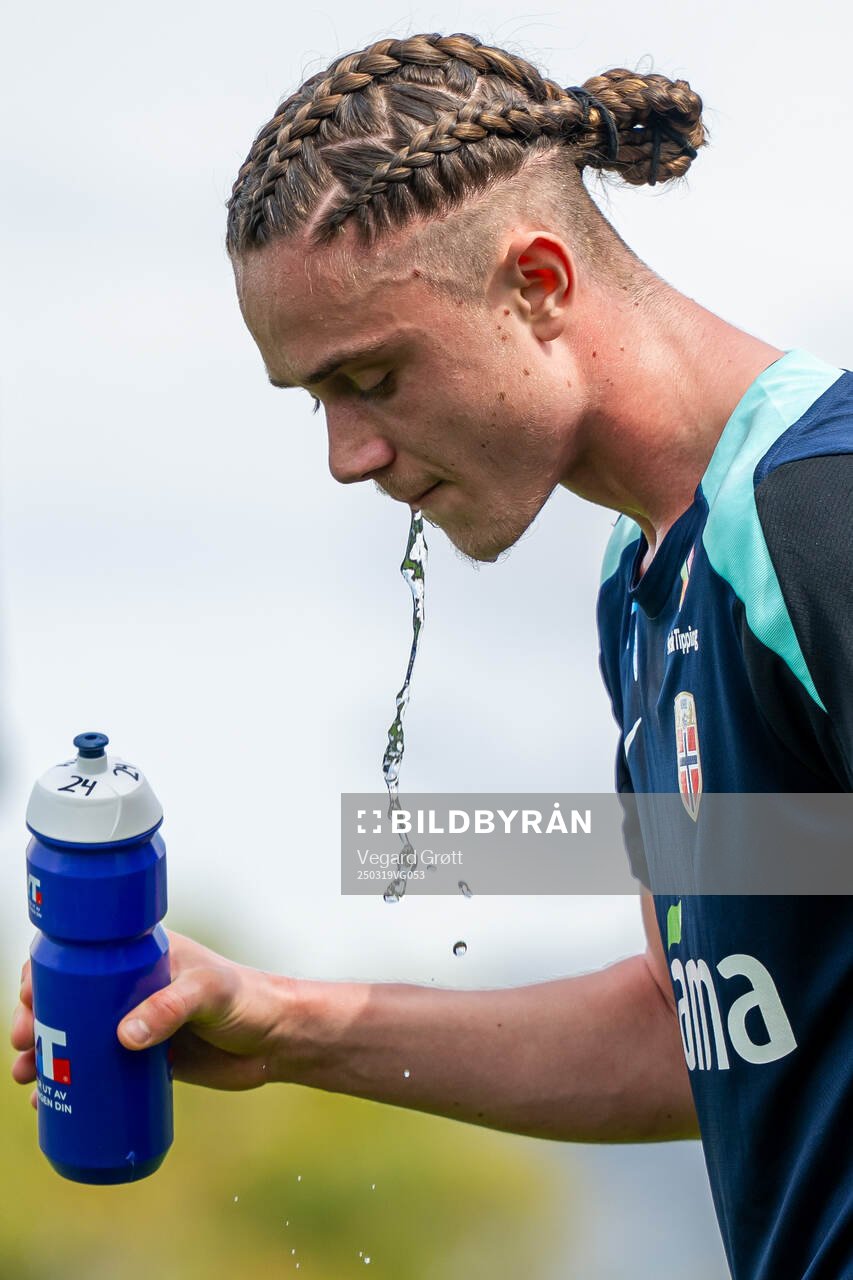 Thelo Aasgaard of the Norwegian national football team
