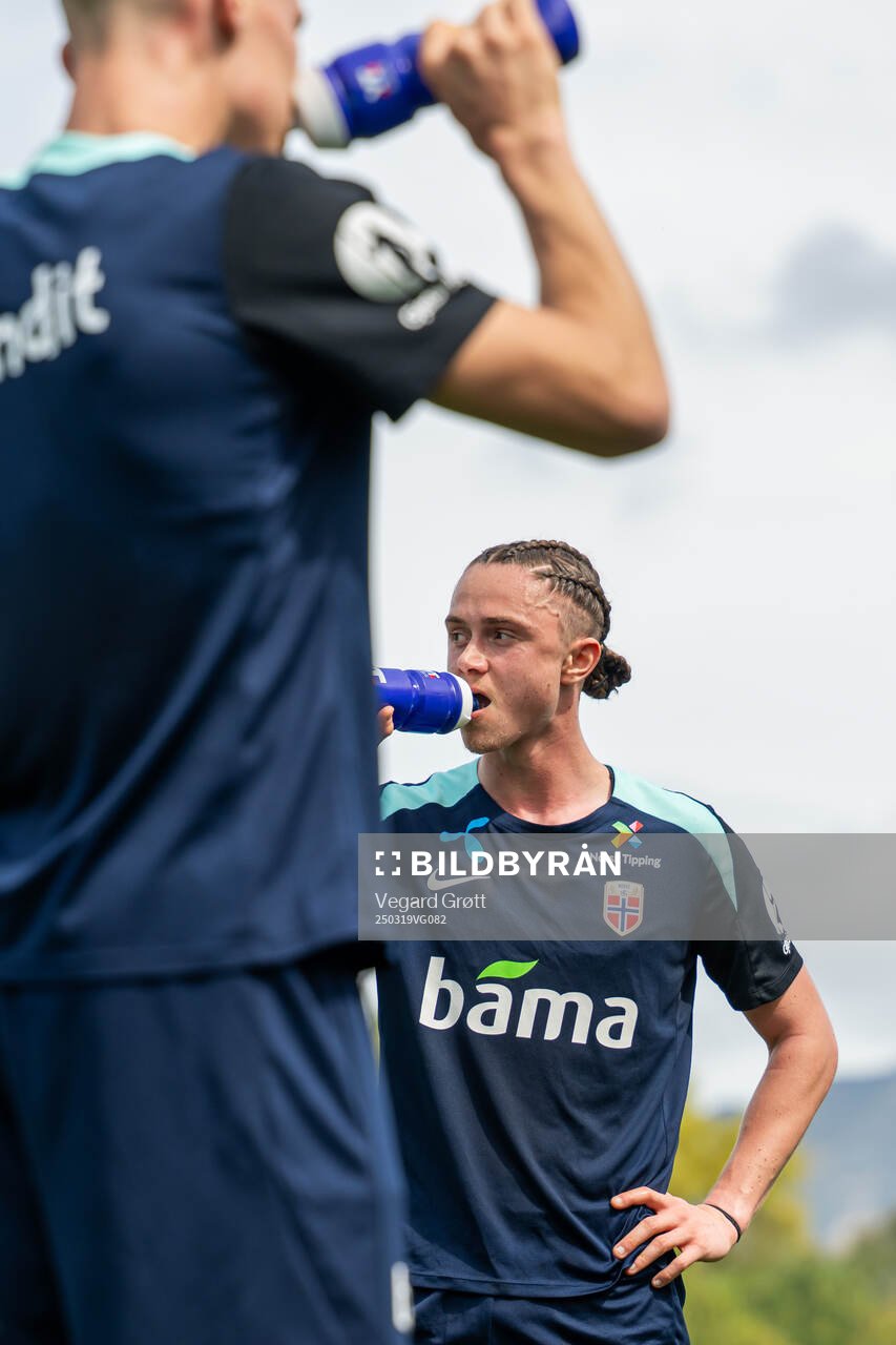 Thelo Aasgaard of the Norwegian national football team