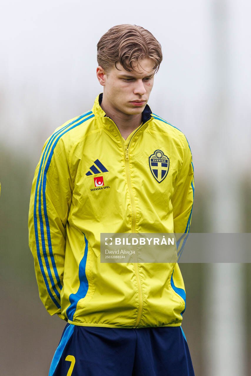 Gottfrid Rapp of Sweden