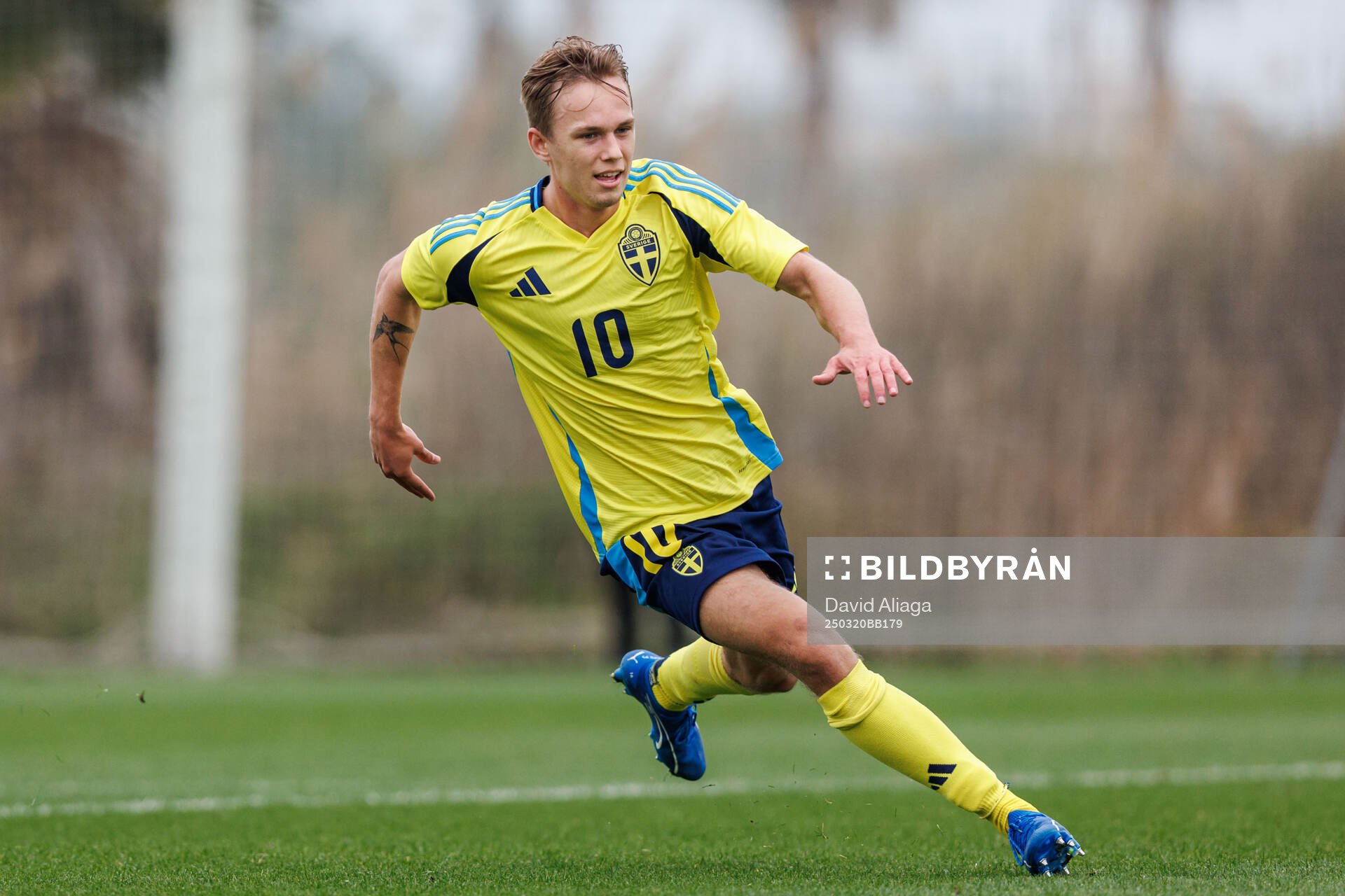 Pontus Dahbo of Sweden