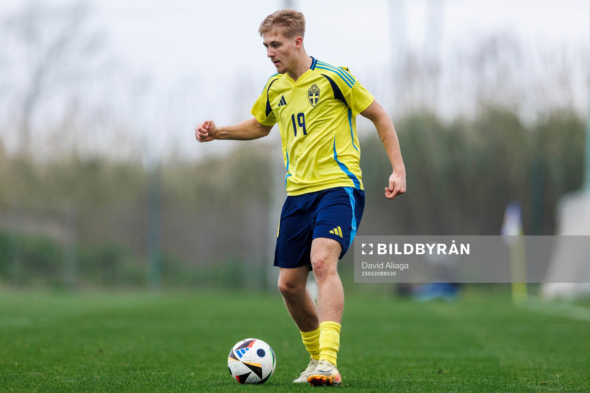 Elias Pihlström of Sweden