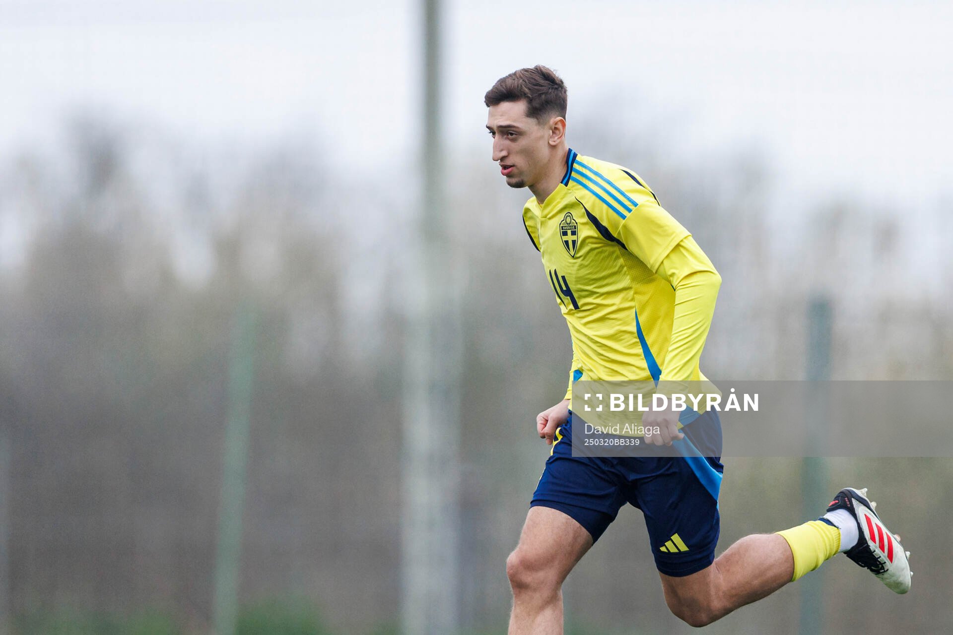 Jonas Rouhi of Sweden