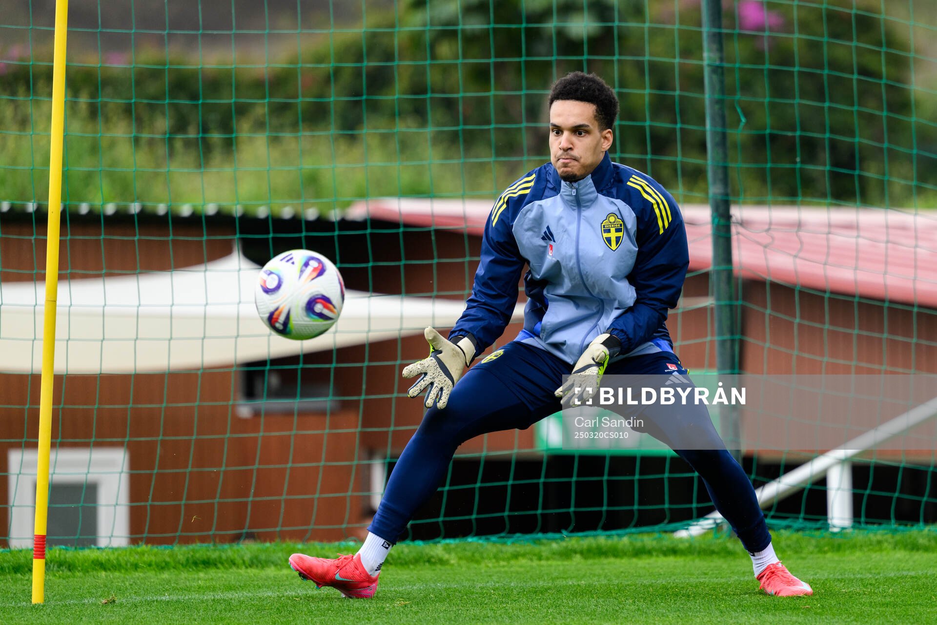 Goalkeeper Oliver Dovin of the Swedish men's national