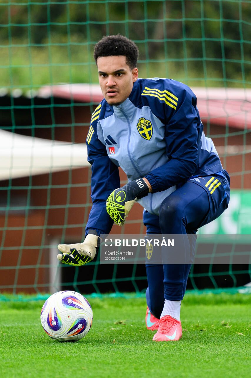 Goalkeeper Oliver Dovin of the Swedish men's national