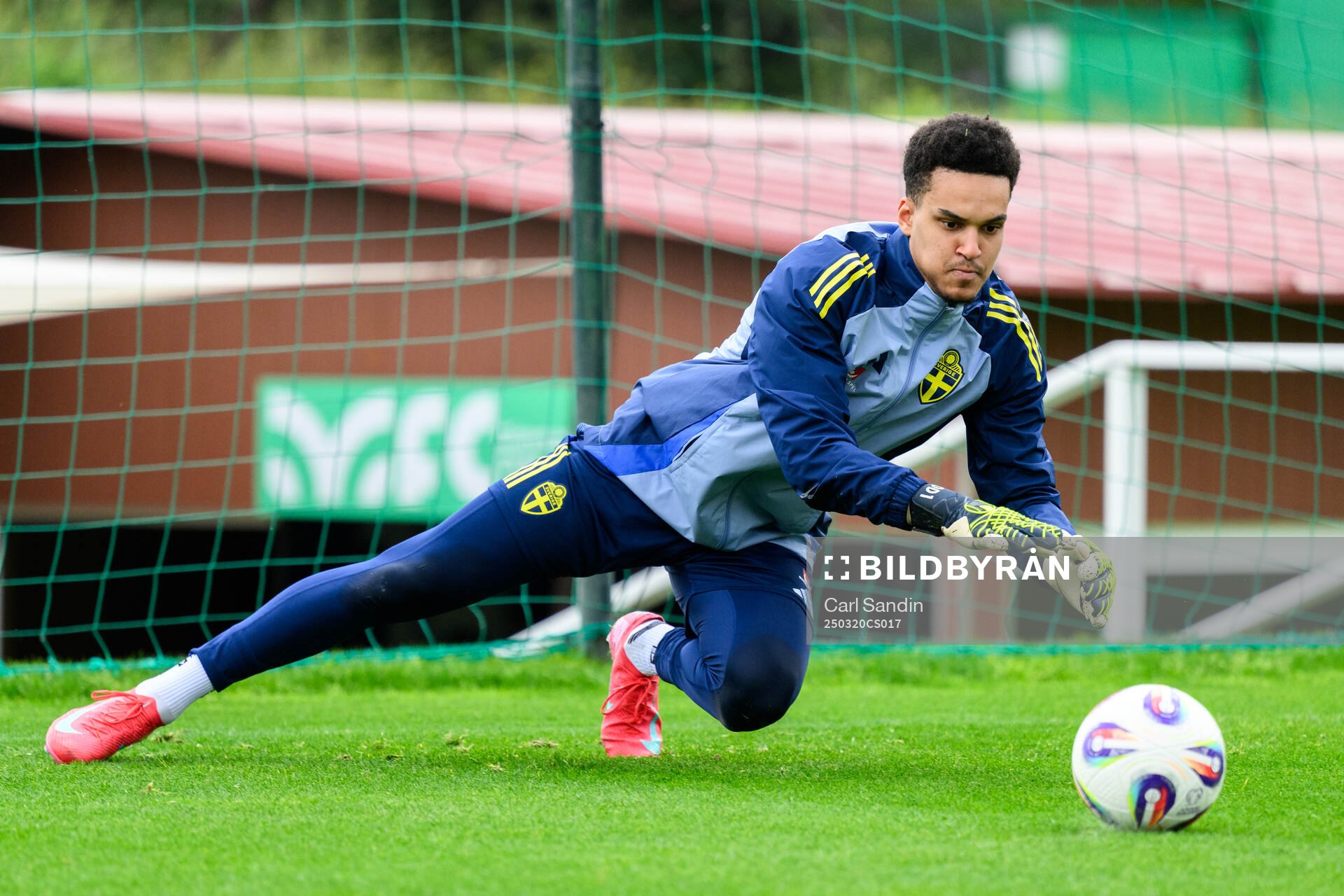 Goalkeeper Oliver Dovin of the Swedish men's national