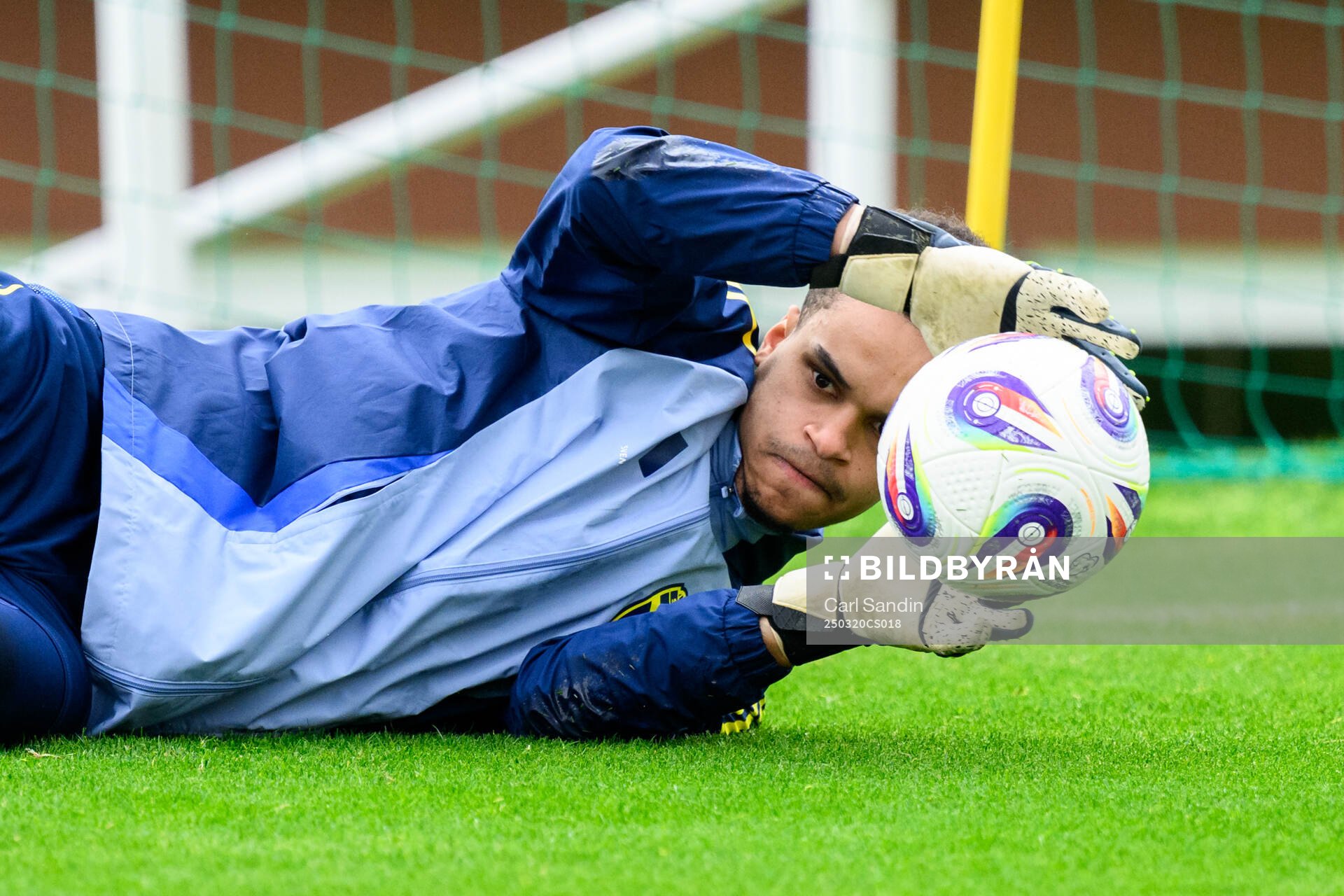 Goalkeeper Oliver Dovin of the Swedish men's national