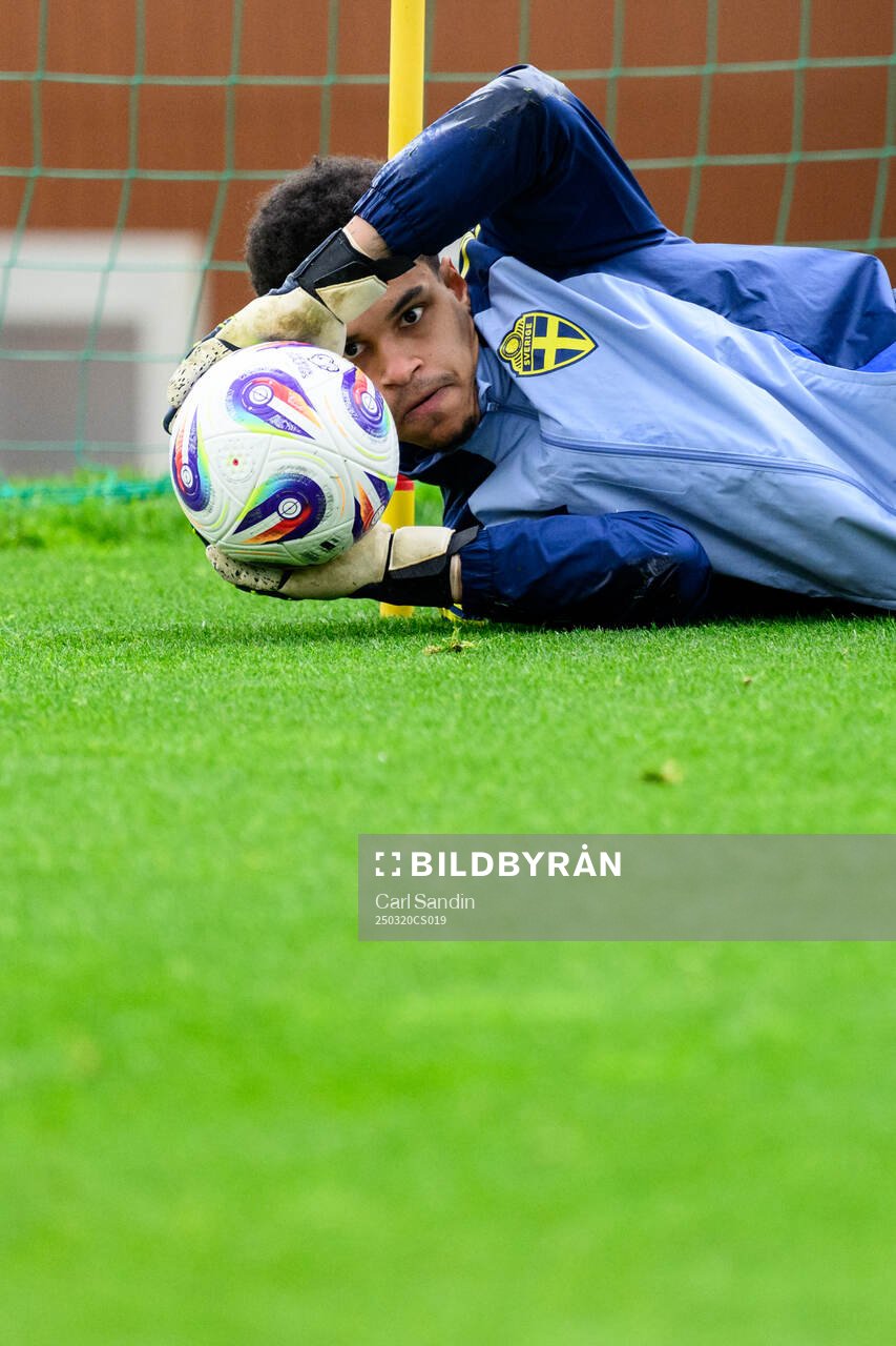 Goalkeeper Oliver Dovin of the Swedish men's national