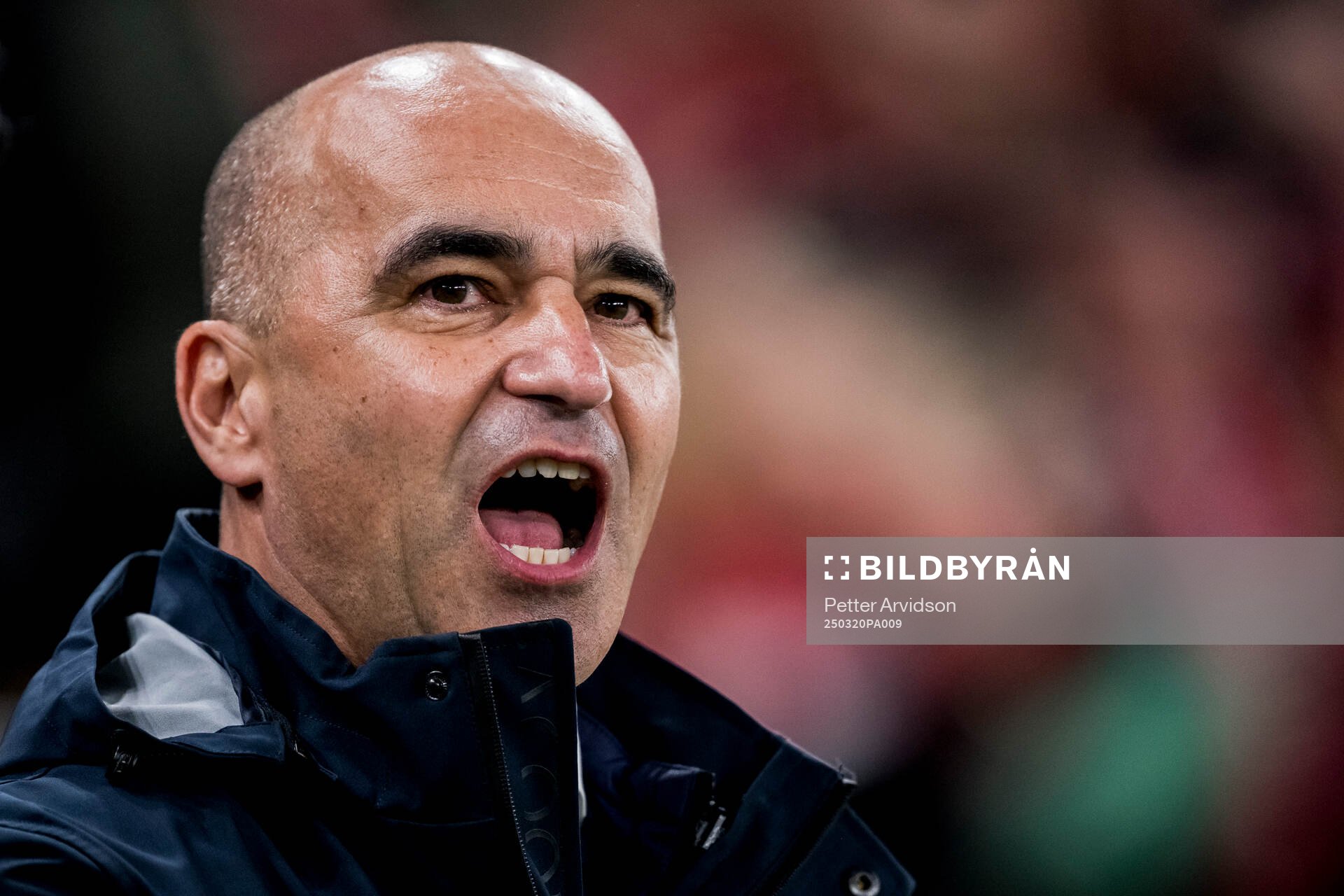 Head coach Roberto Martinez of Portugal