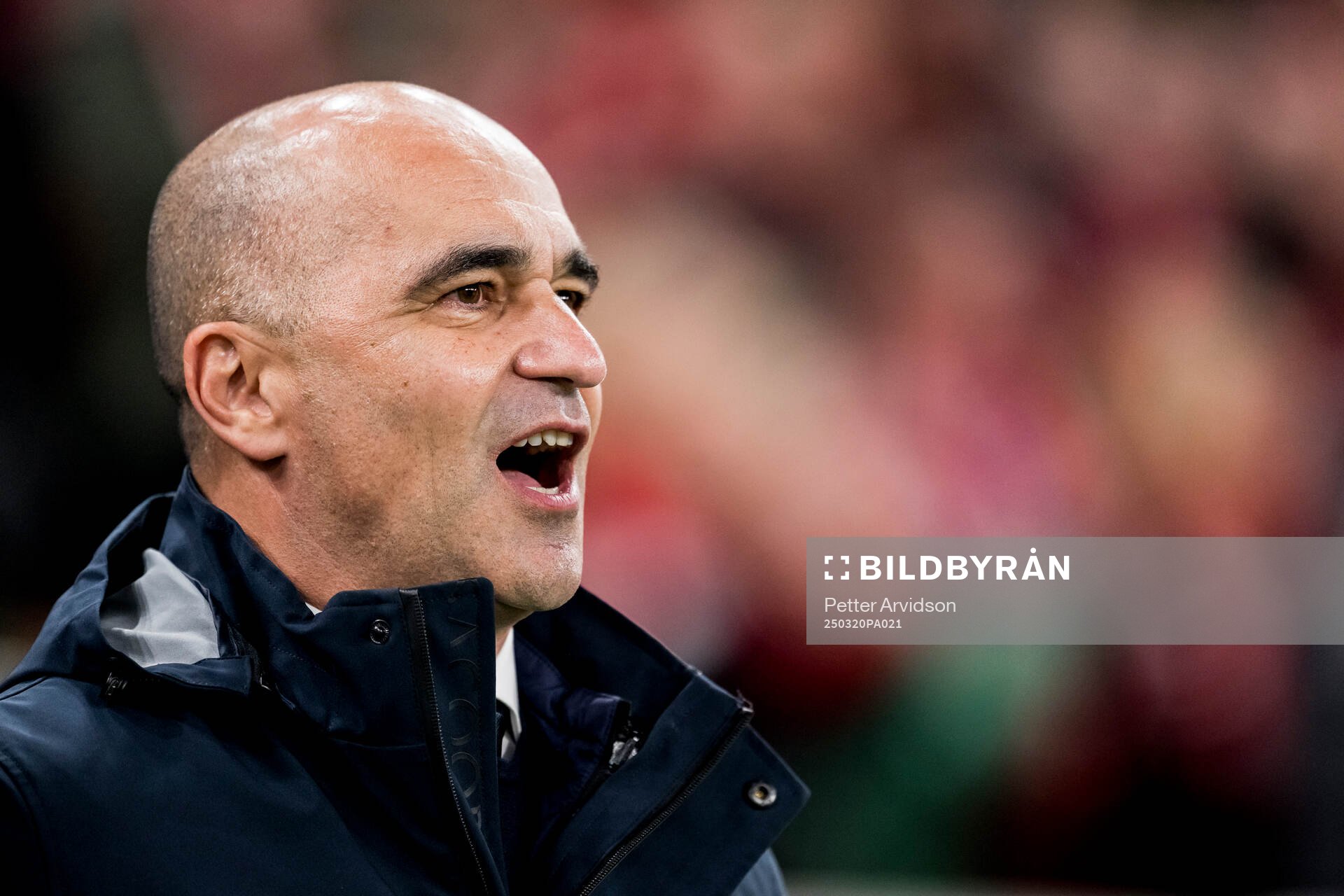 Head coach Roberto Martinez of Portugal