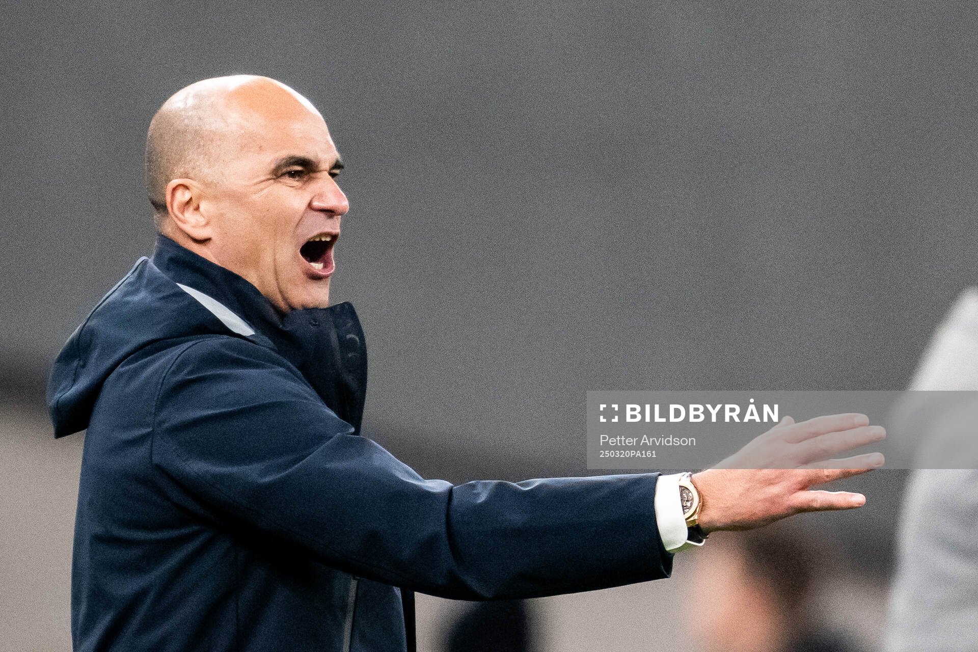 Head coach Roberto Martinez of Portugal