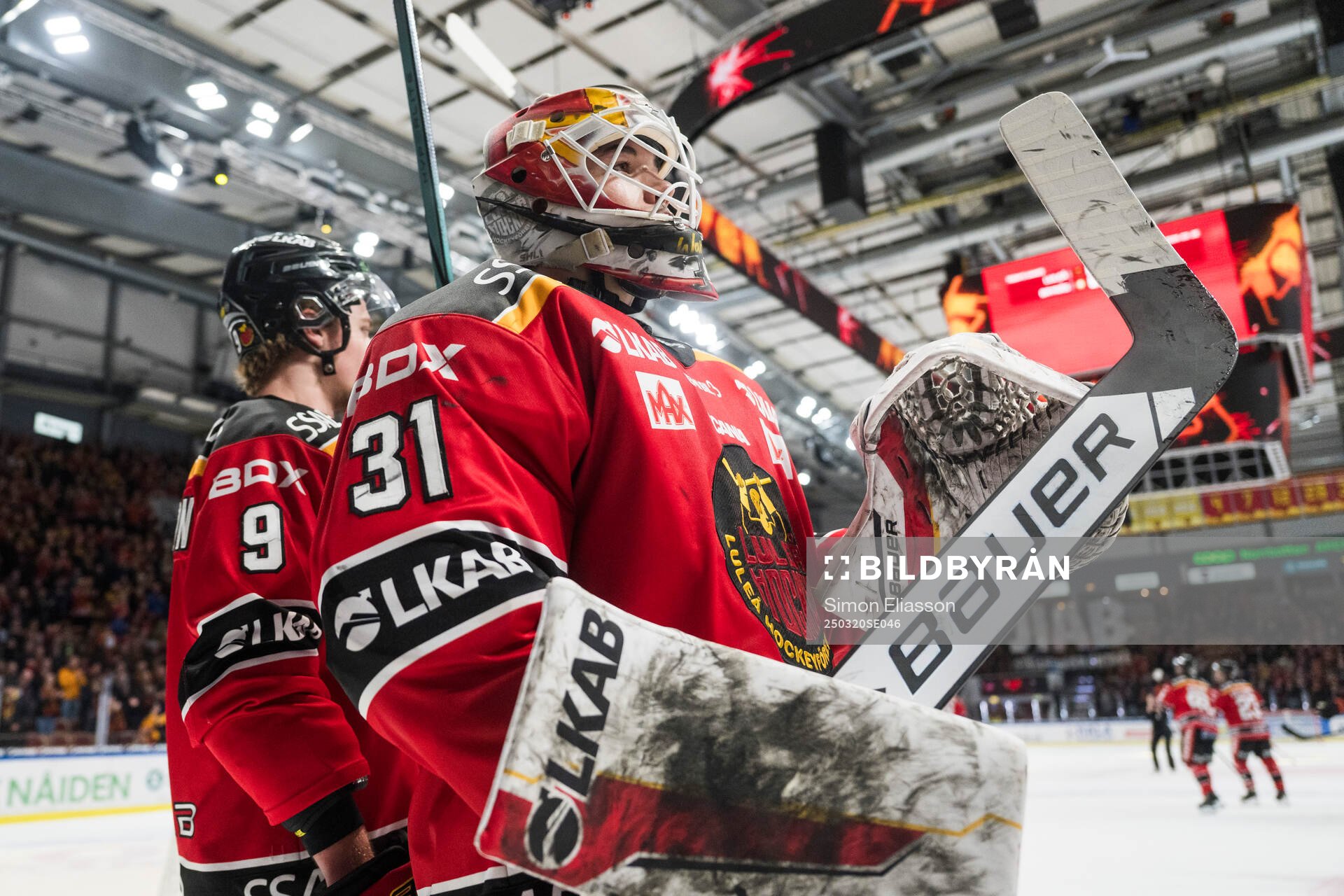 Luleås målvakt Matteus Ward jublar