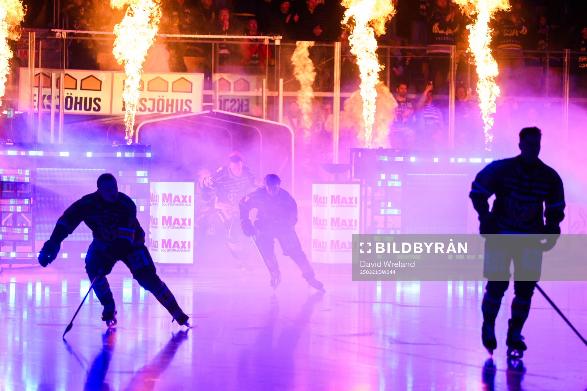 HV71s spelare åker in på isen