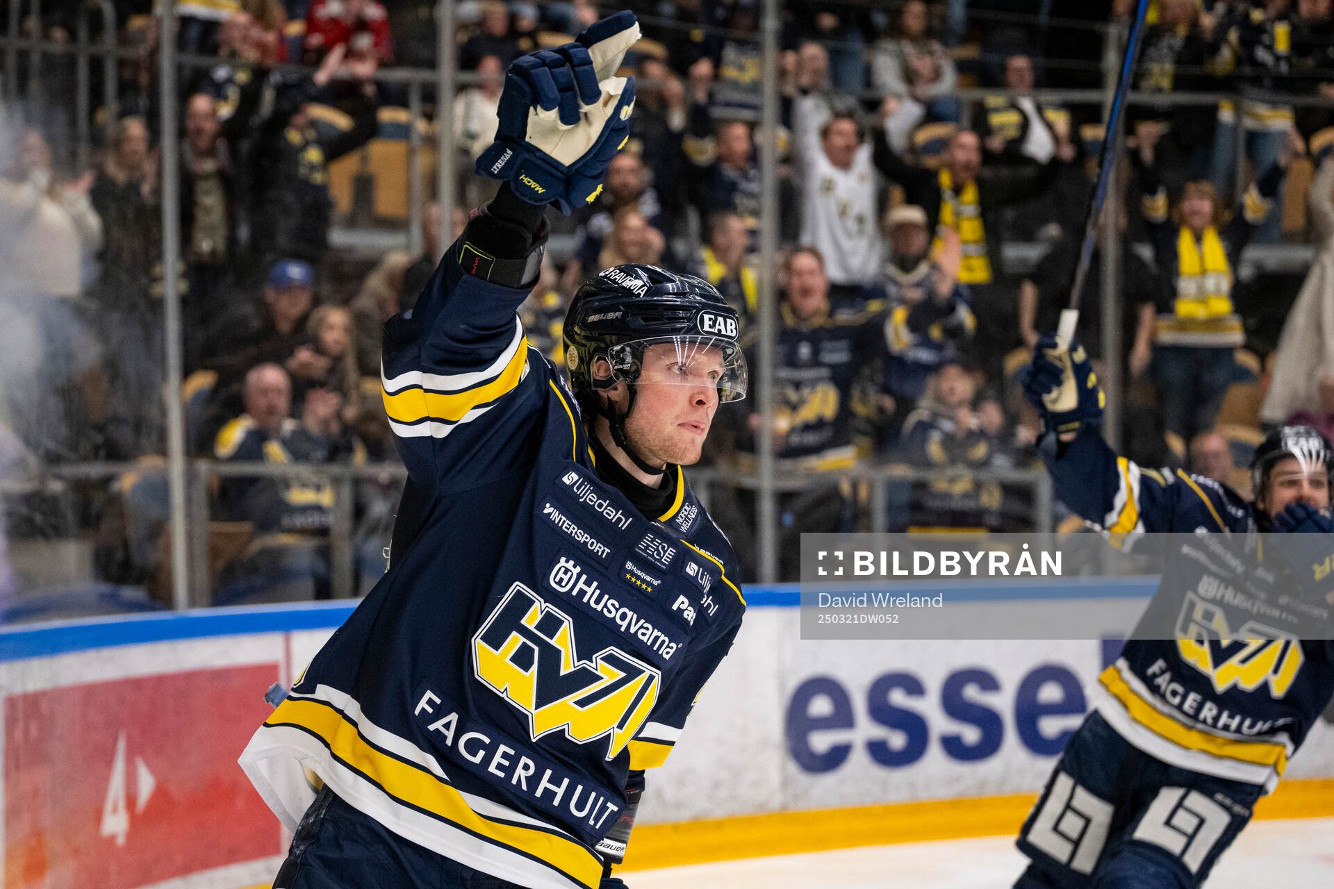 HV71s Oskar Stål-Lyrenäs jublar