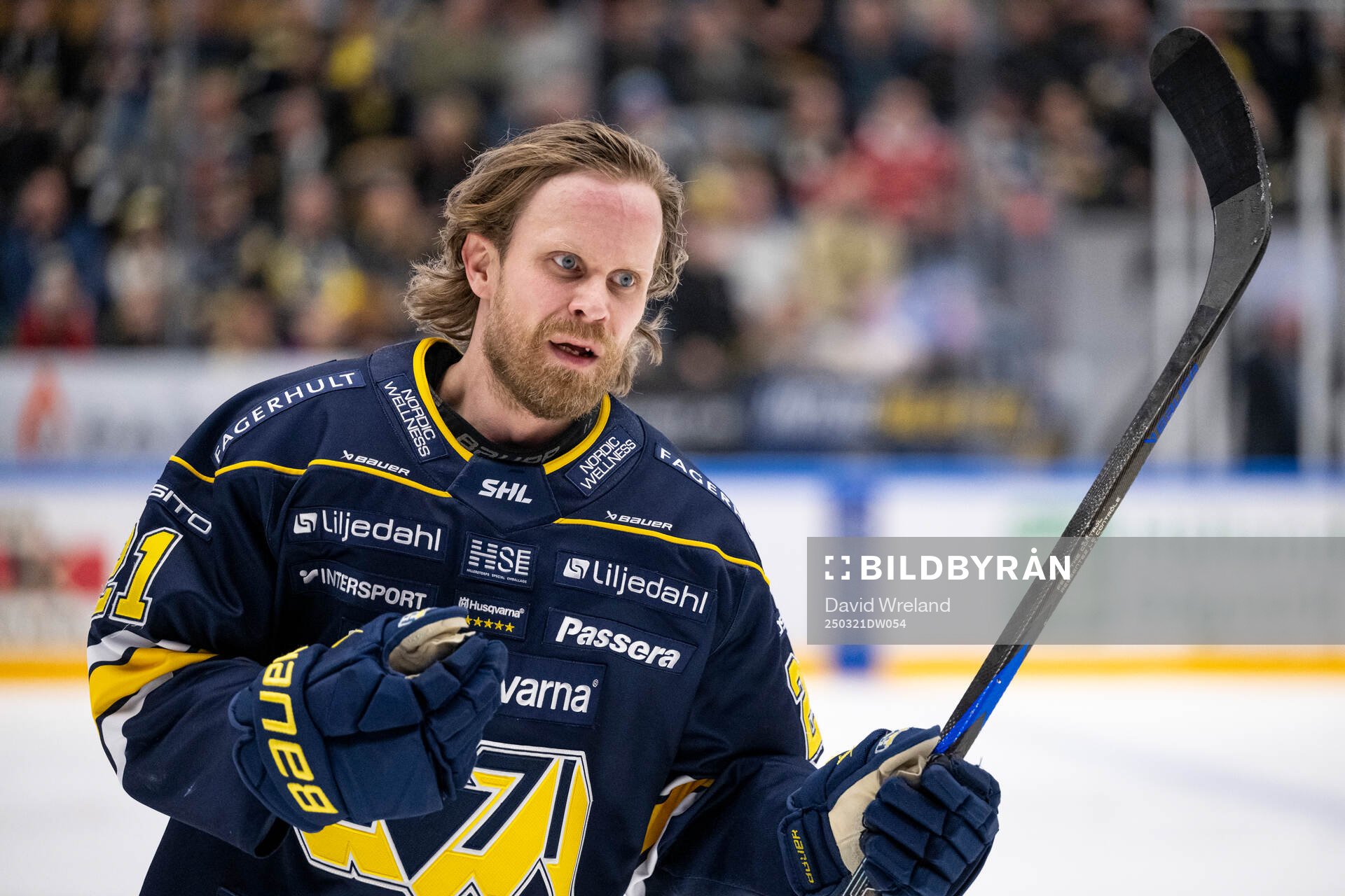HV71s Mattias Tedenby har ont