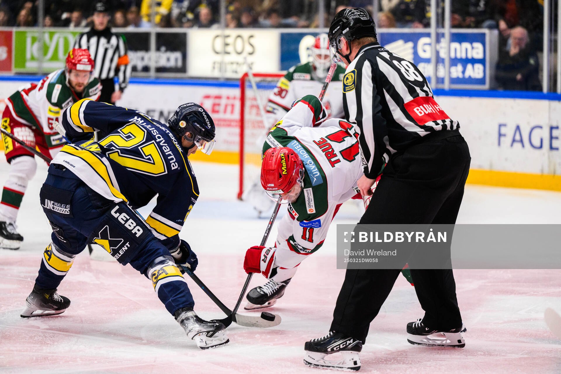 HV71s Jonathan Ang och Modos Alexander True
