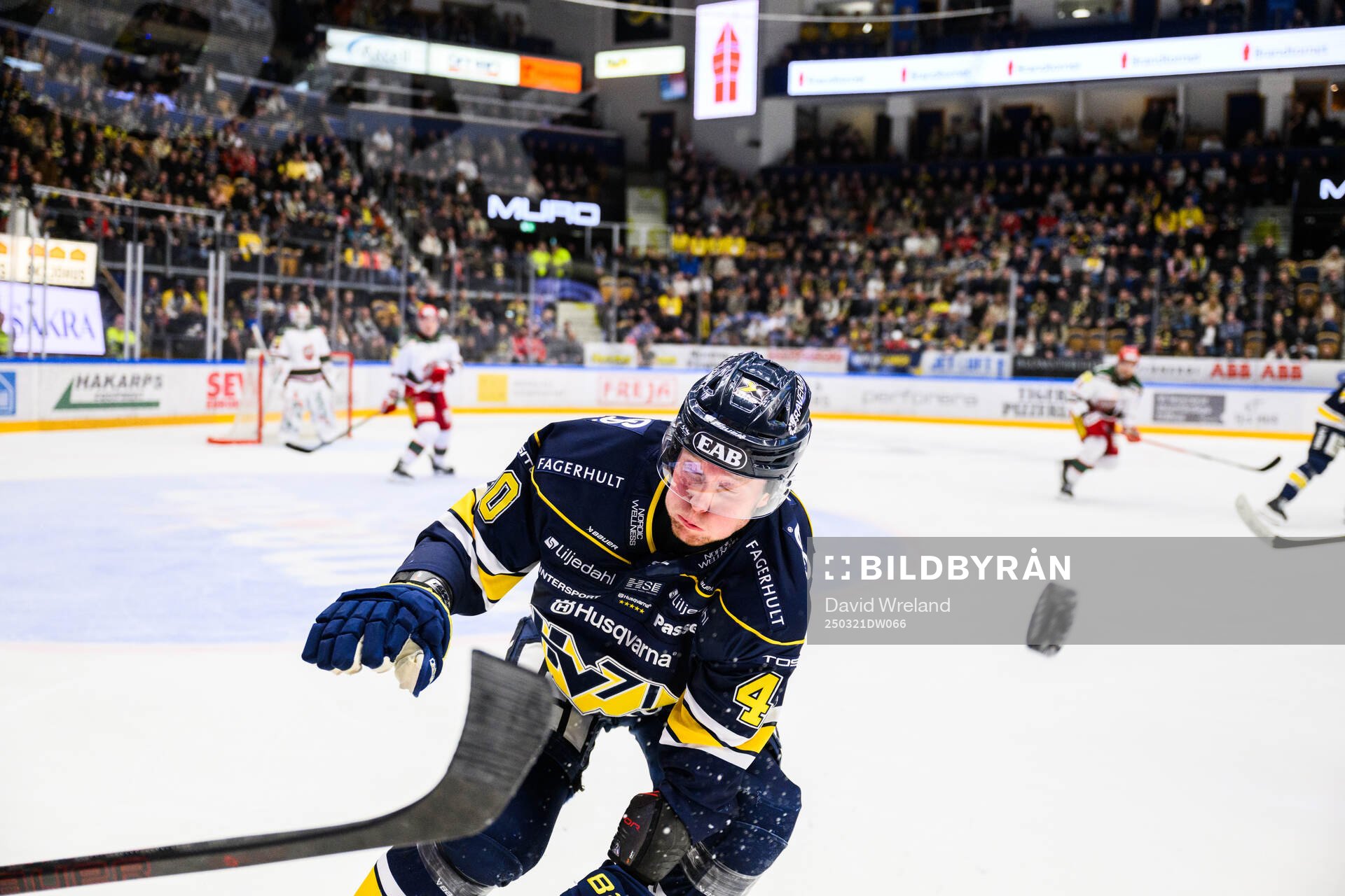 HV71s Oskar Stål-Lyrenäs