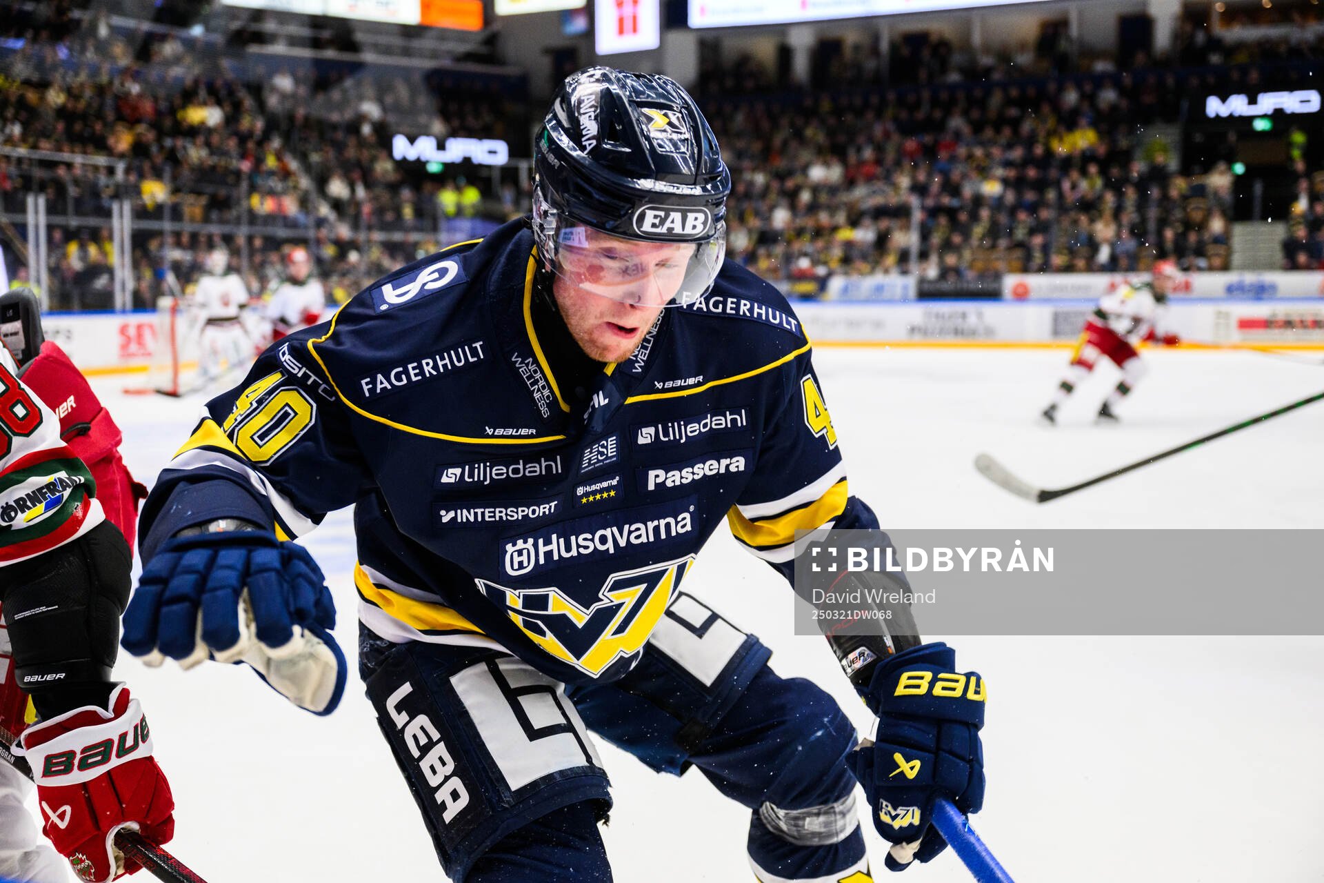 HV71s Oskar Stål-Lyrenäs