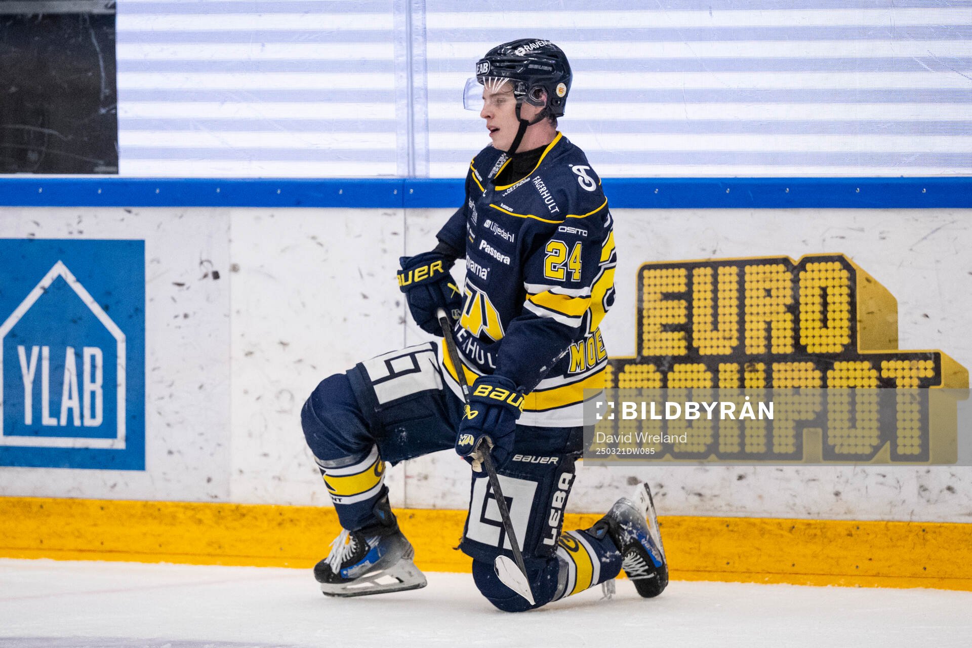HV71s Oscar Fisker Molgaard