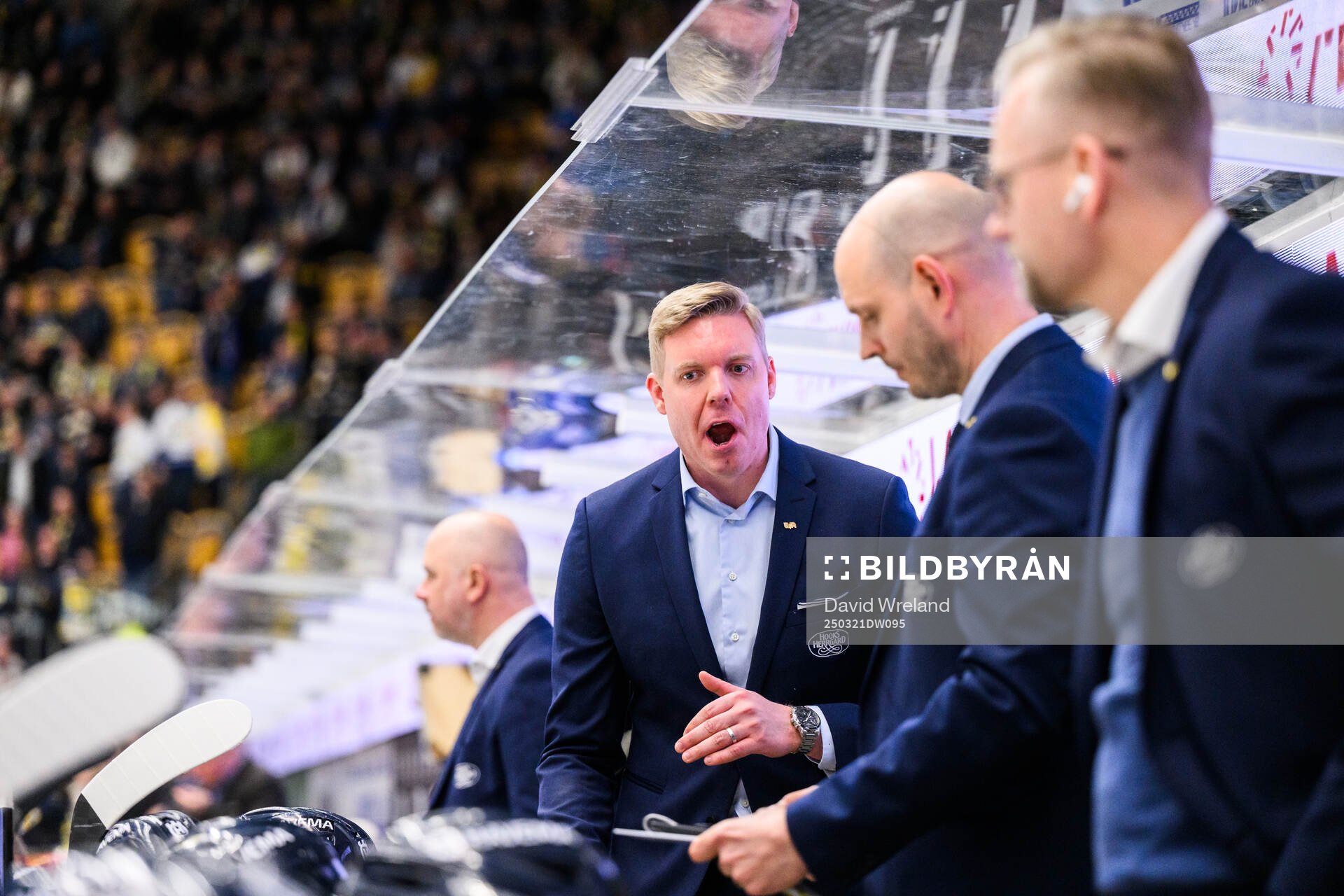 HV71s huvudtränare Anton Blomqvist  reagerar