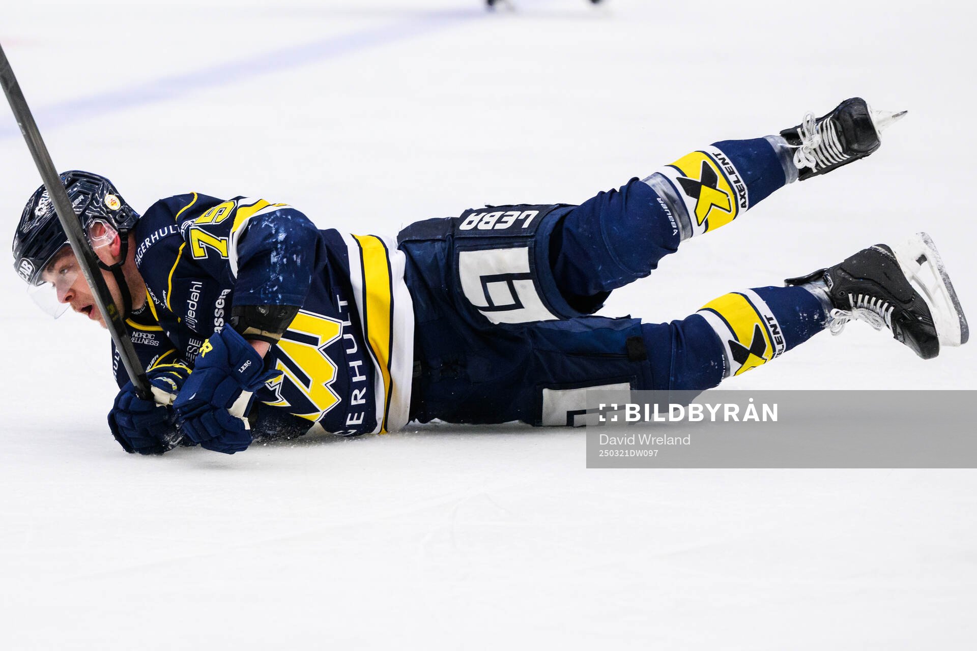 HV71s Radan Lenc