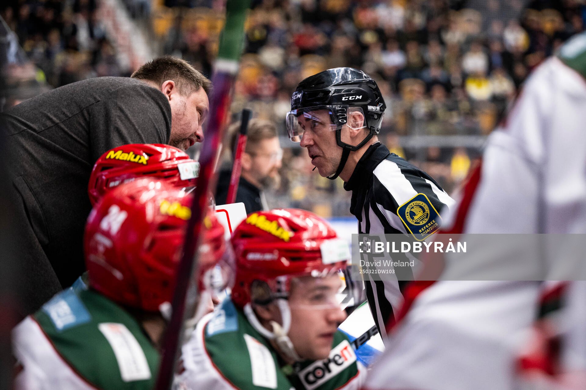 Modos tränare Mattias Karlin i samtal med domare