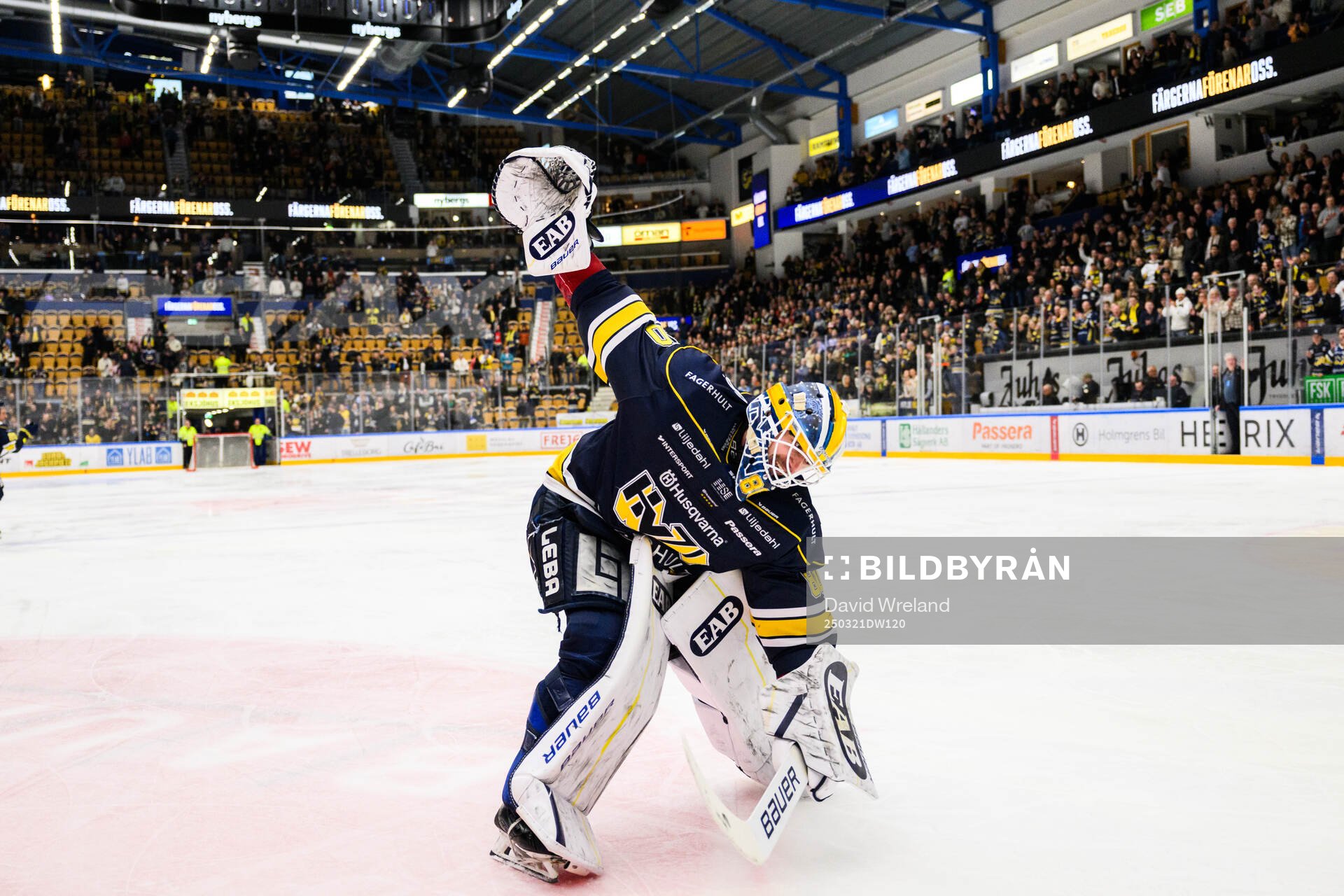 HV71s målvakt Frederik Dichow jublar och tackar fansen