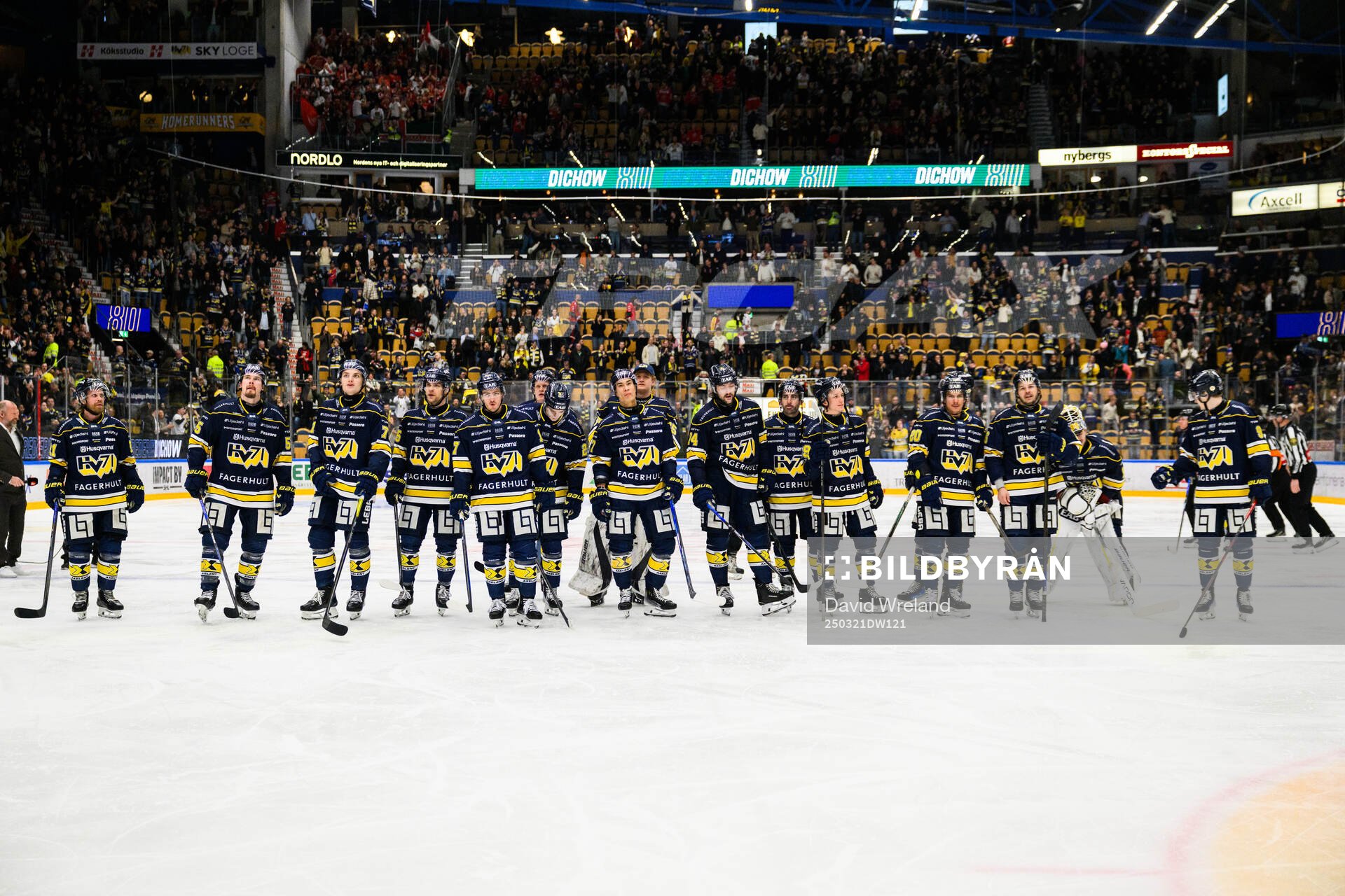 HV71s spelare jublar