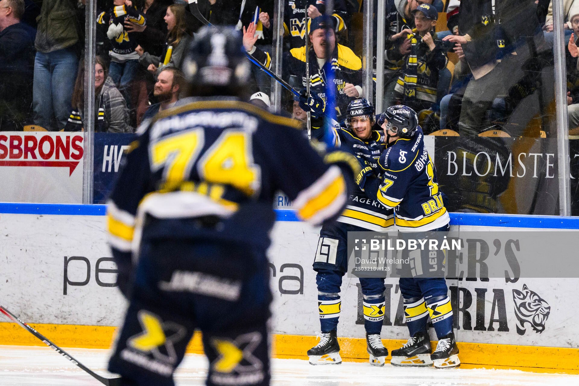 HV71s Andre Petersson jublar