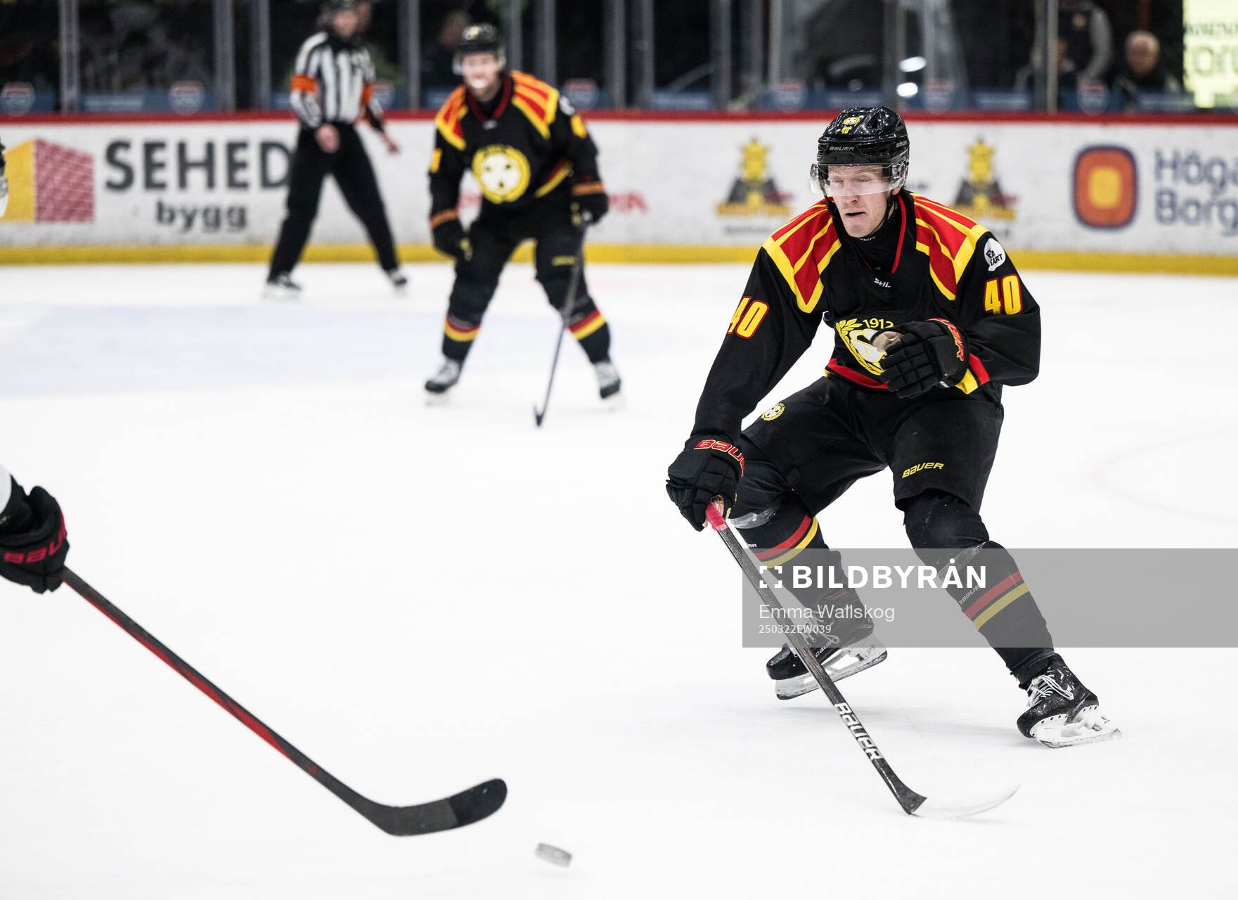 Brynäs Anton Ohlsson