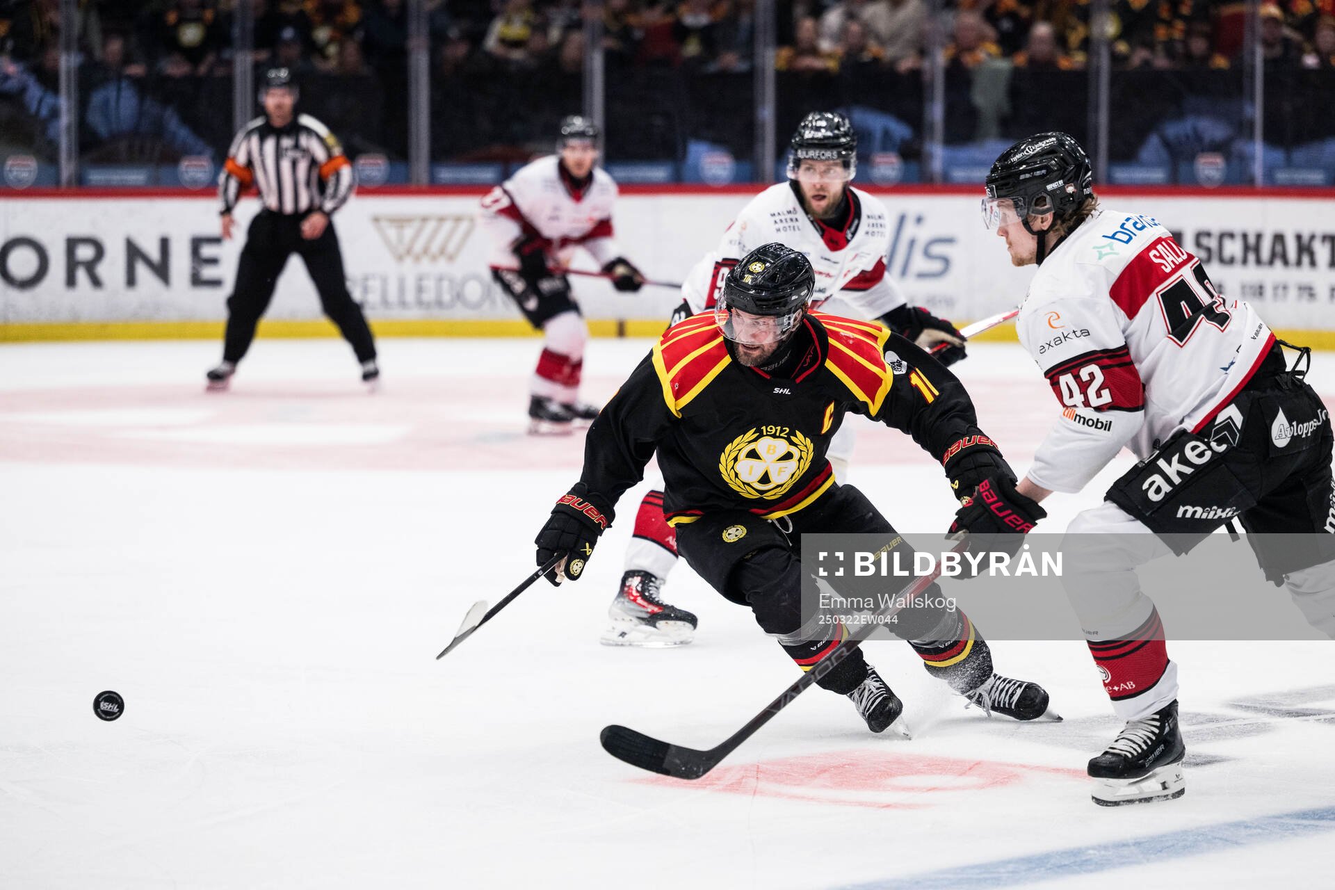 Brynäs Johan Larsson och Malmö Redhawks Robin Salo