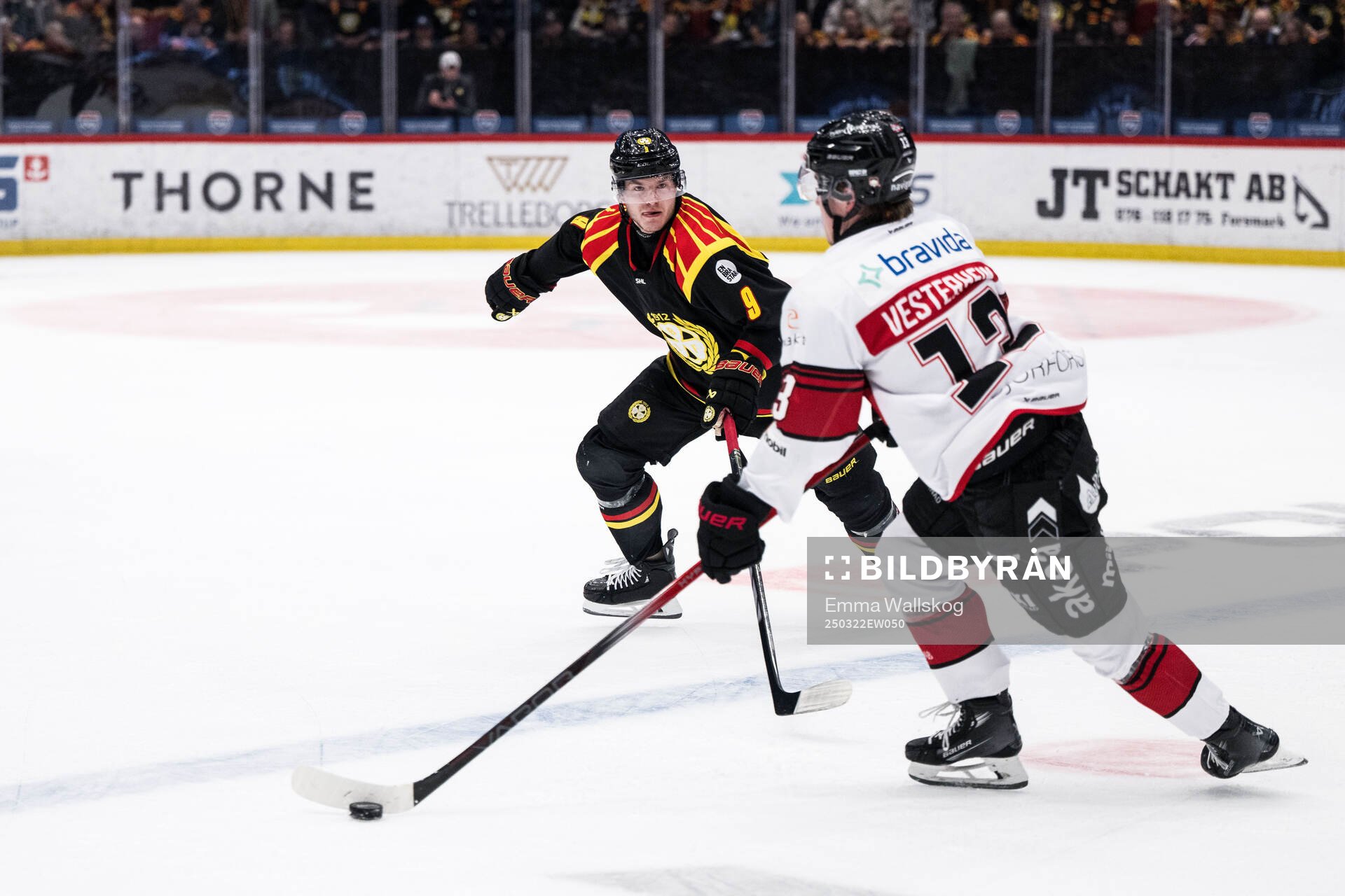 Brynäs Victor Söderström och Malmö Redhawks Petter
