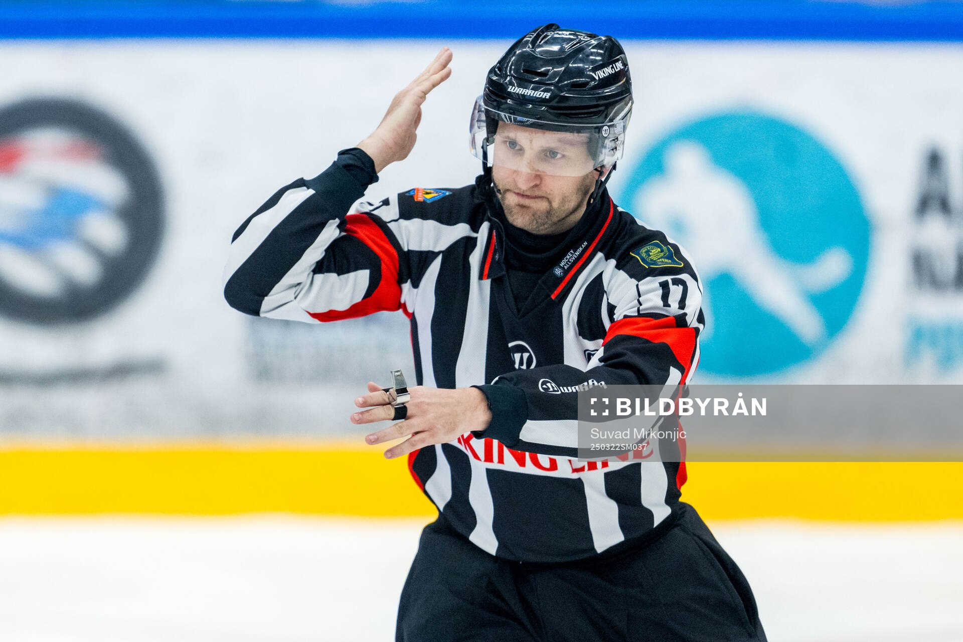 Domare Niklas Johansson