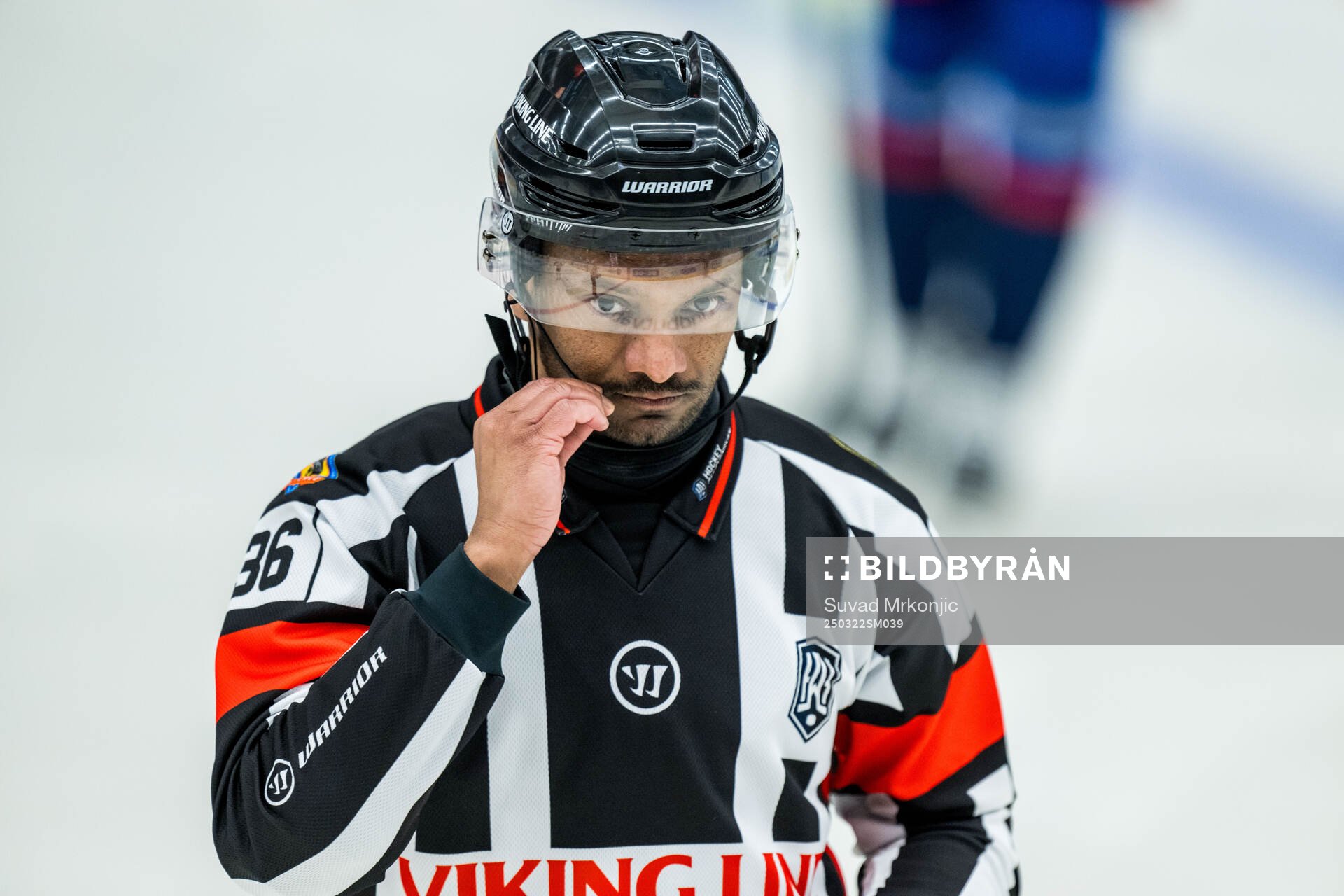 Domare Fredrik Rönnberg