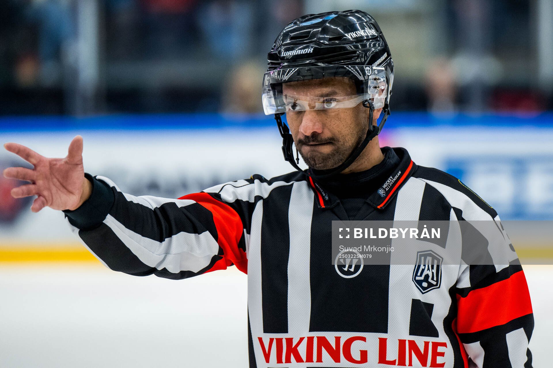 Domare Fredrik Rönnberg