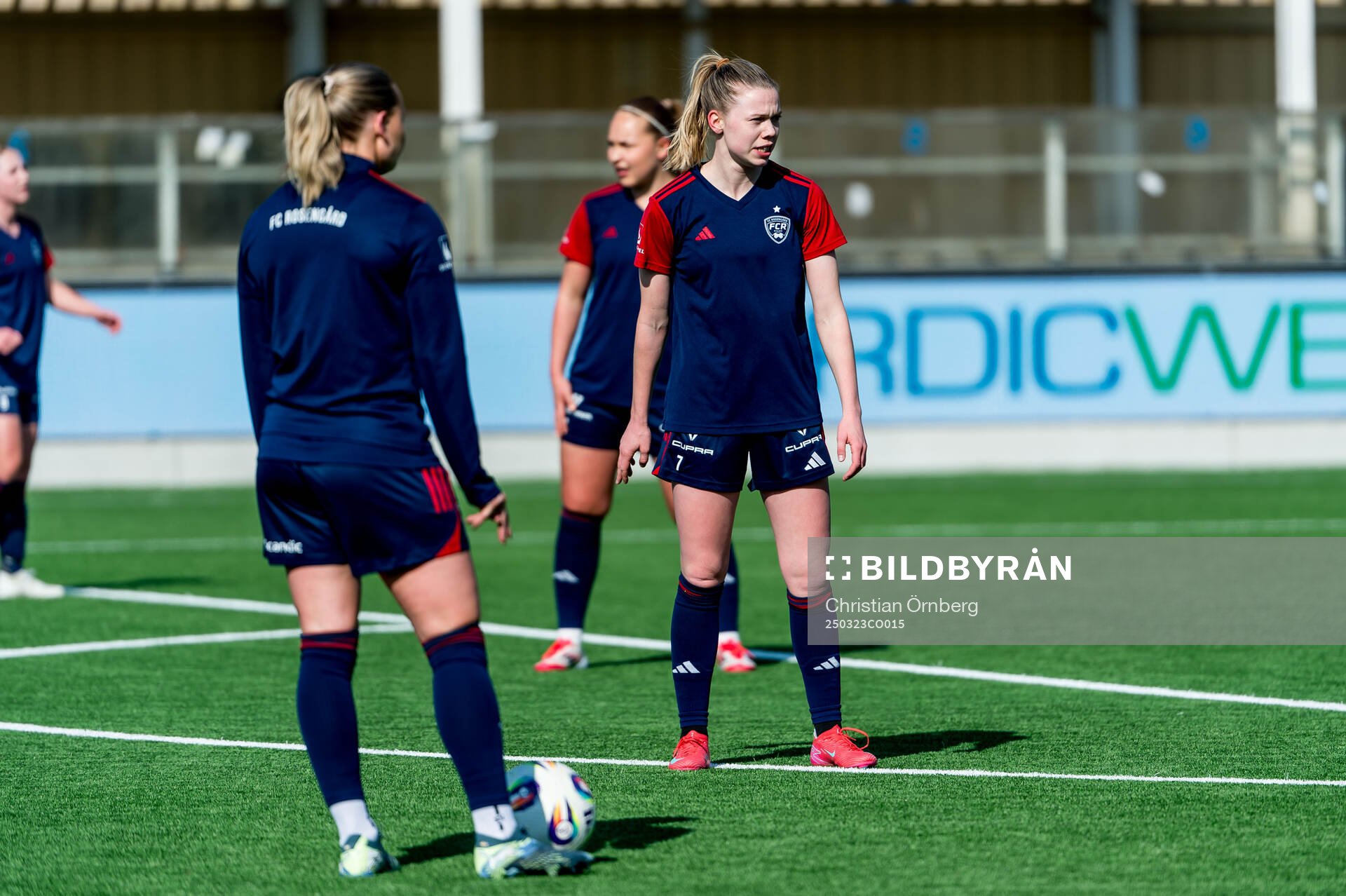 Rosengårds Bea Sprung