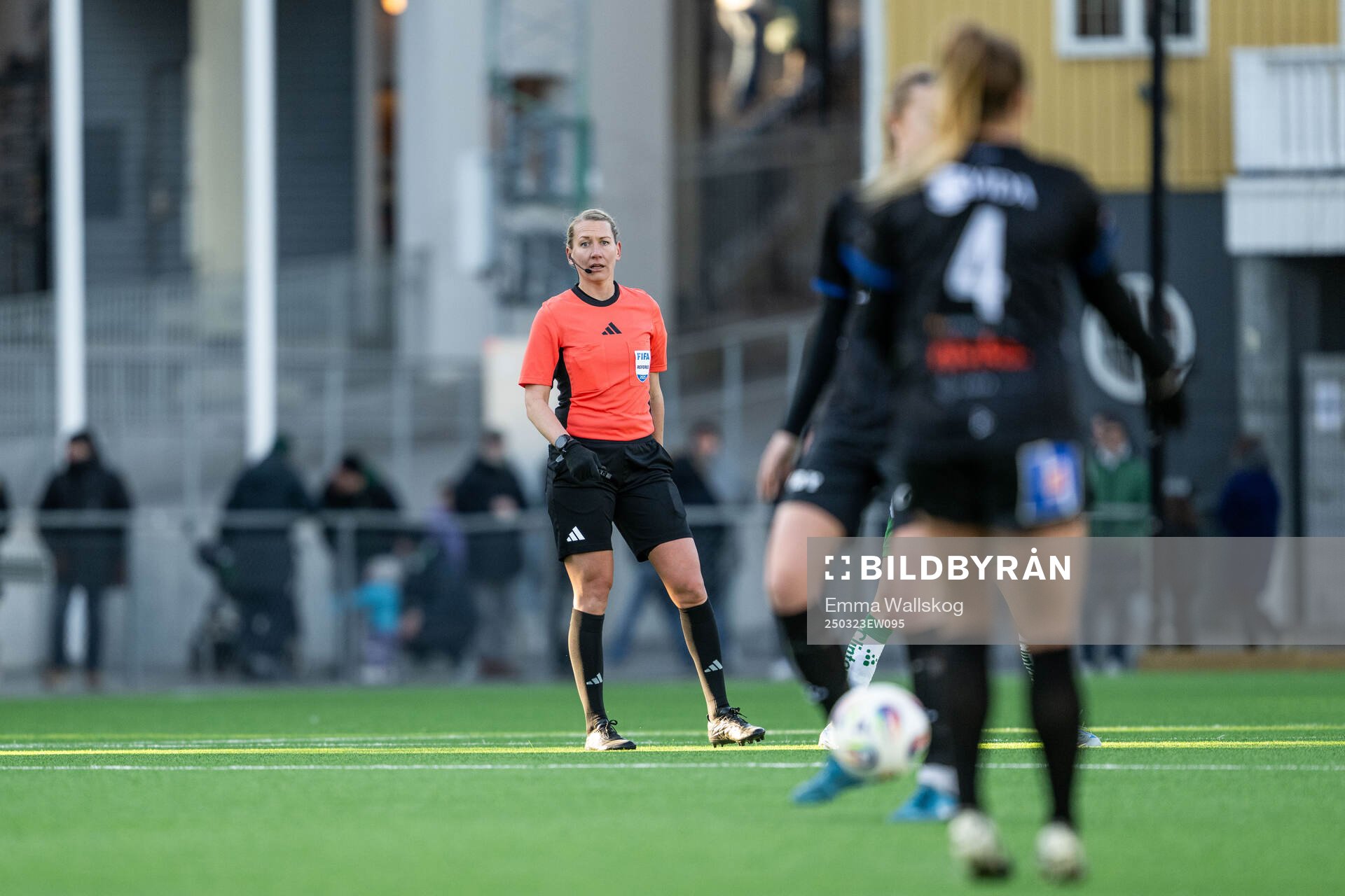 Domare Tess Olofsson