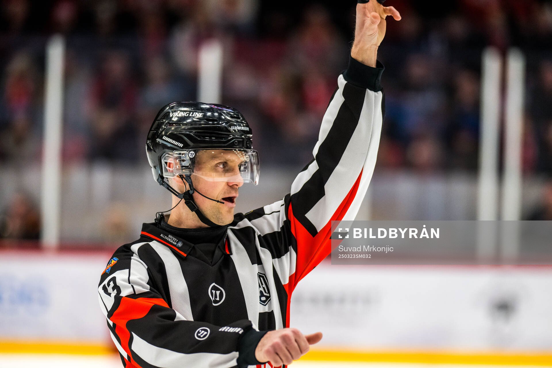 Domare Stefan Leijonklo