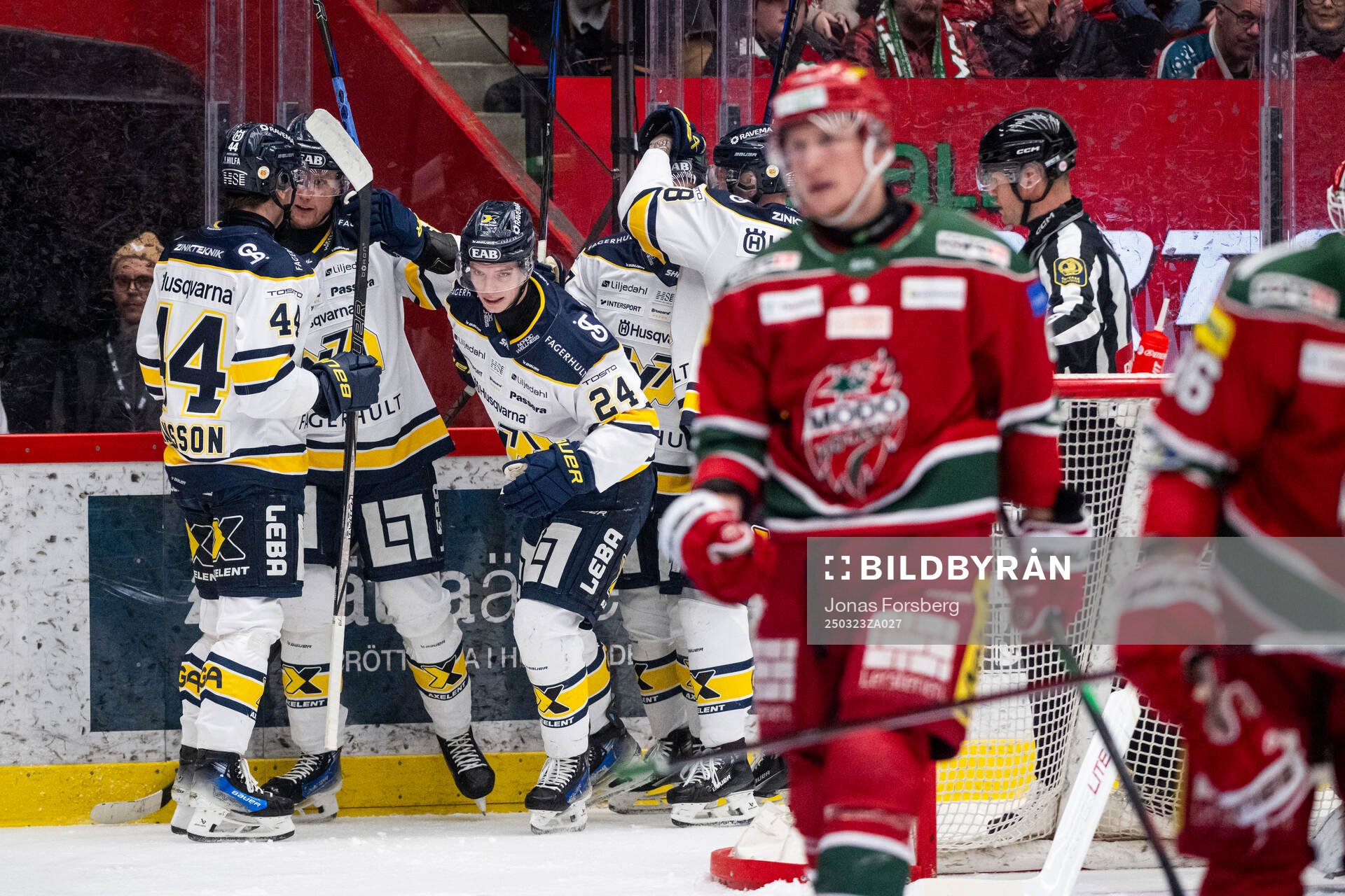HV71s Oscar Fisker Molgaard jublar