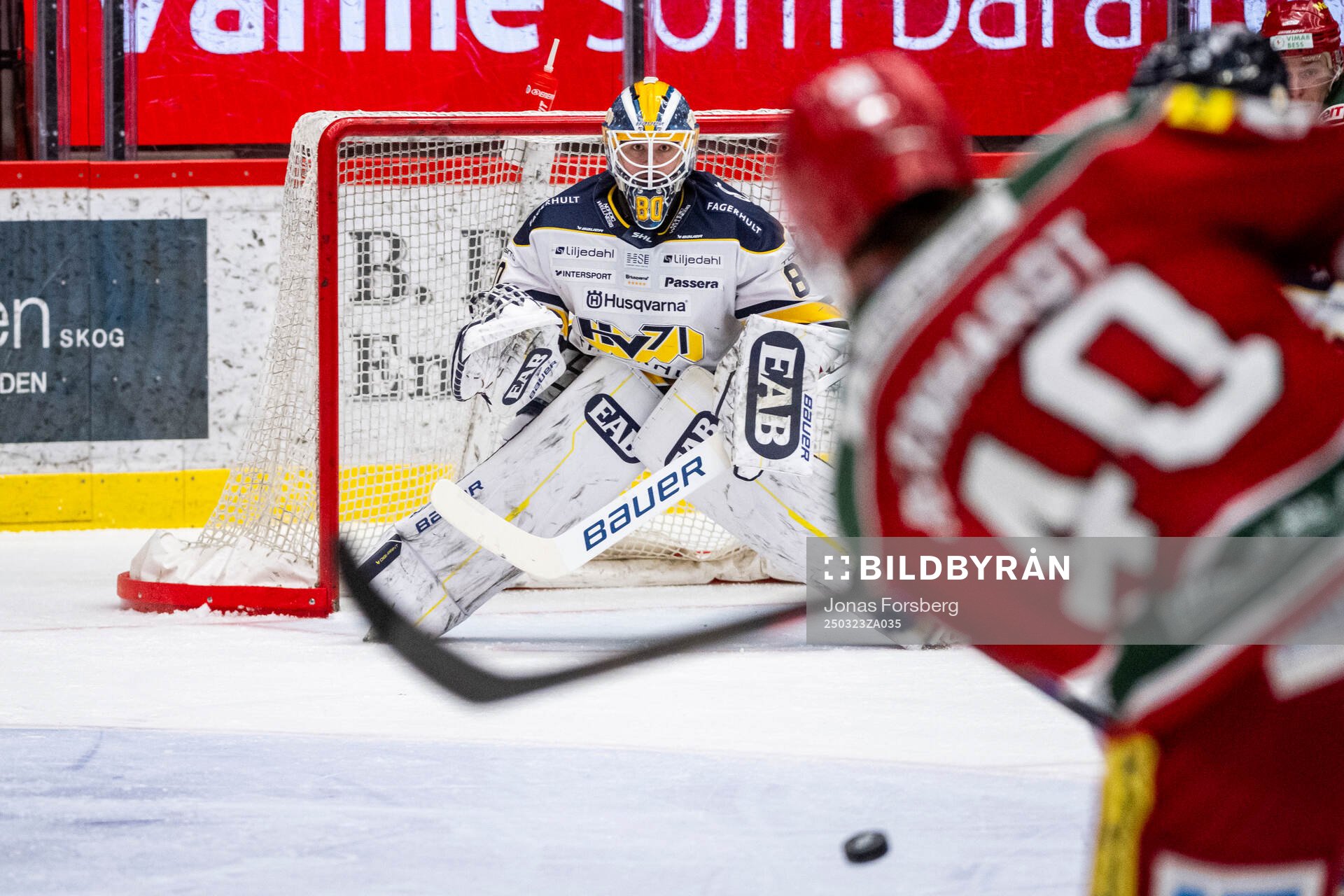 HV71s målvakt Frederik Dichow